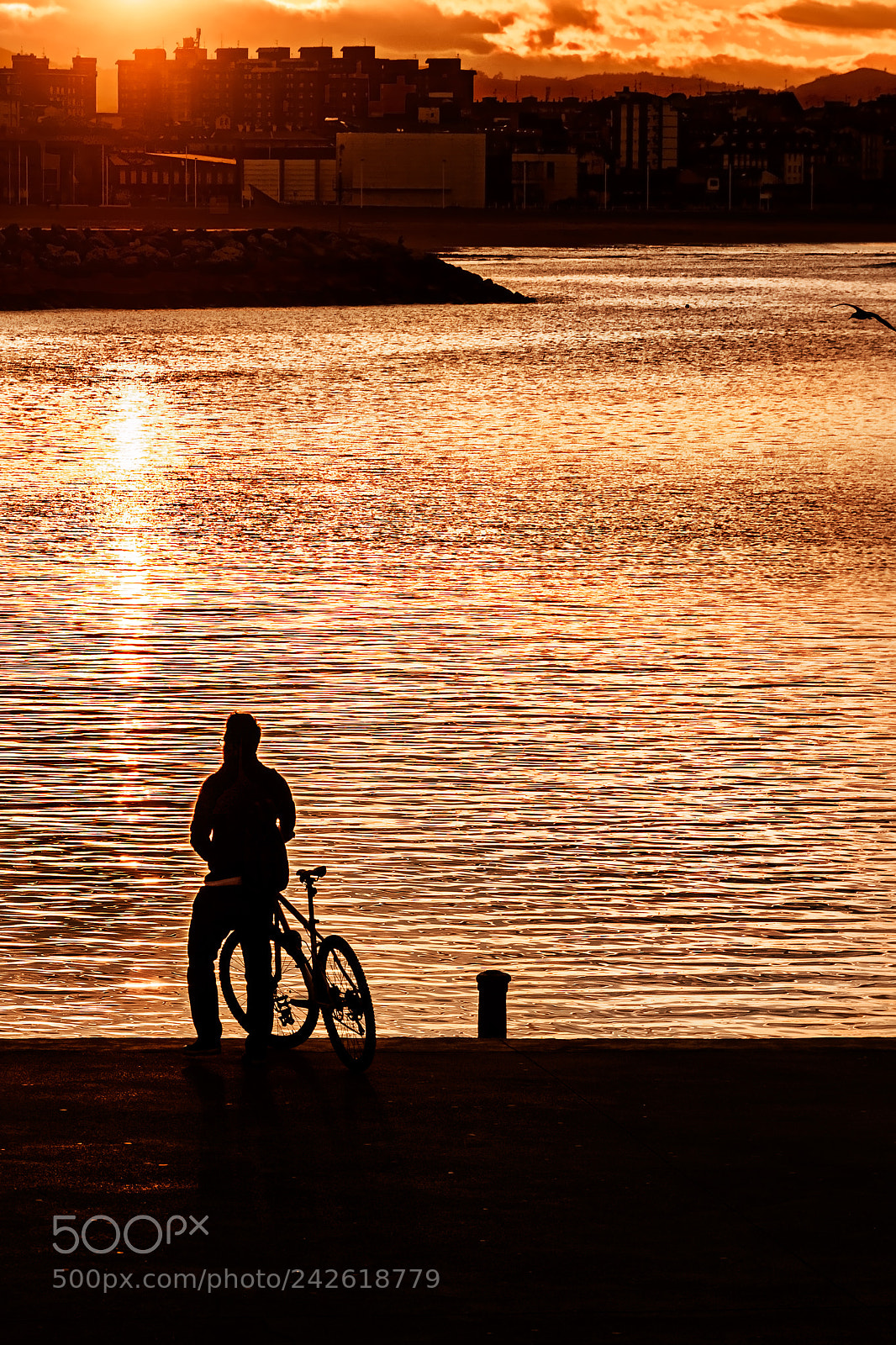 Olympus OM-D E-M5 sample photo. Bicycle and sea photography