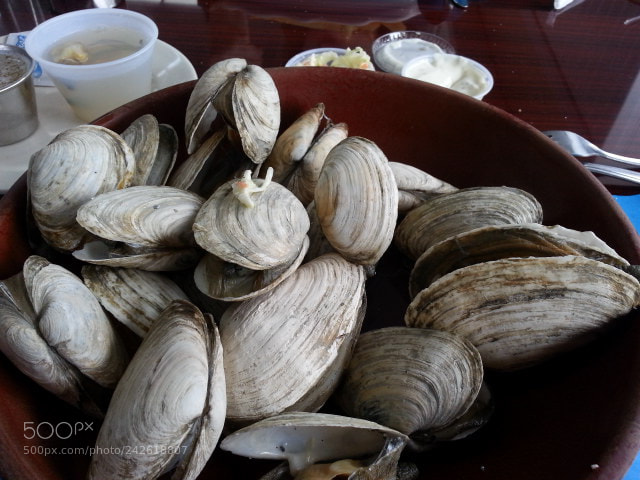 Samsung Galaxy S3 sample photo. 20140418_141208.jpg photography