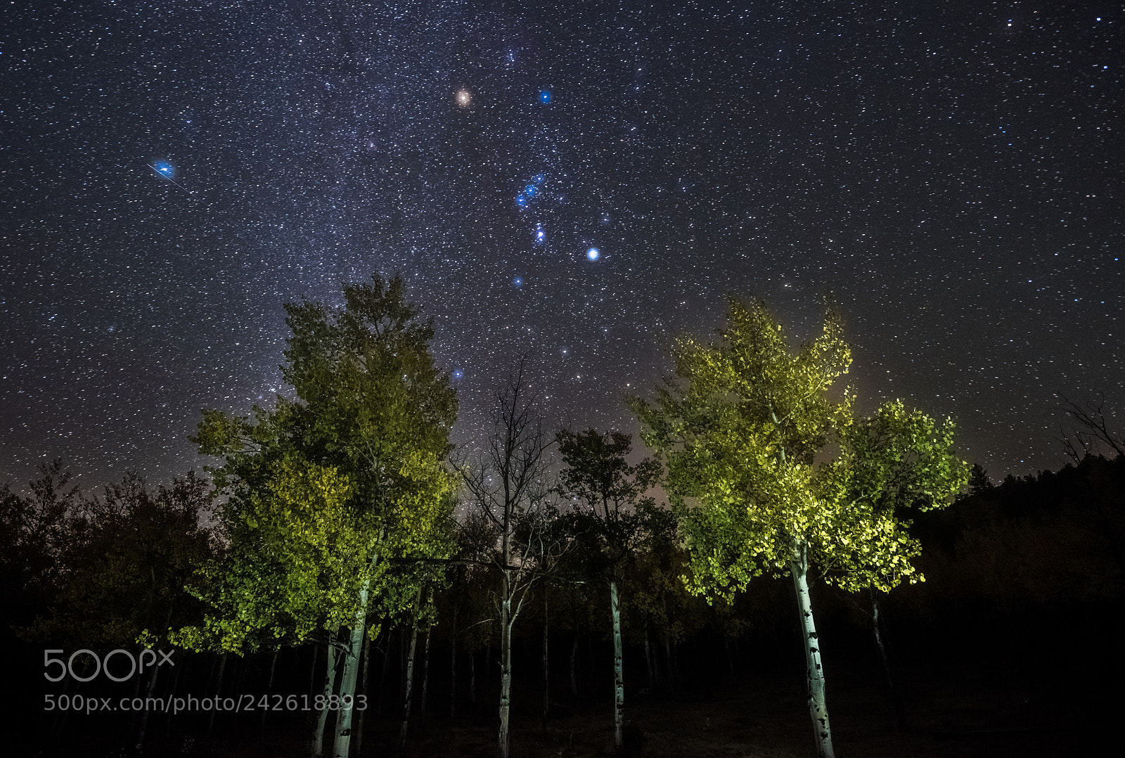 Nikon D810 sample photo. Orion above aspen ridge photography
