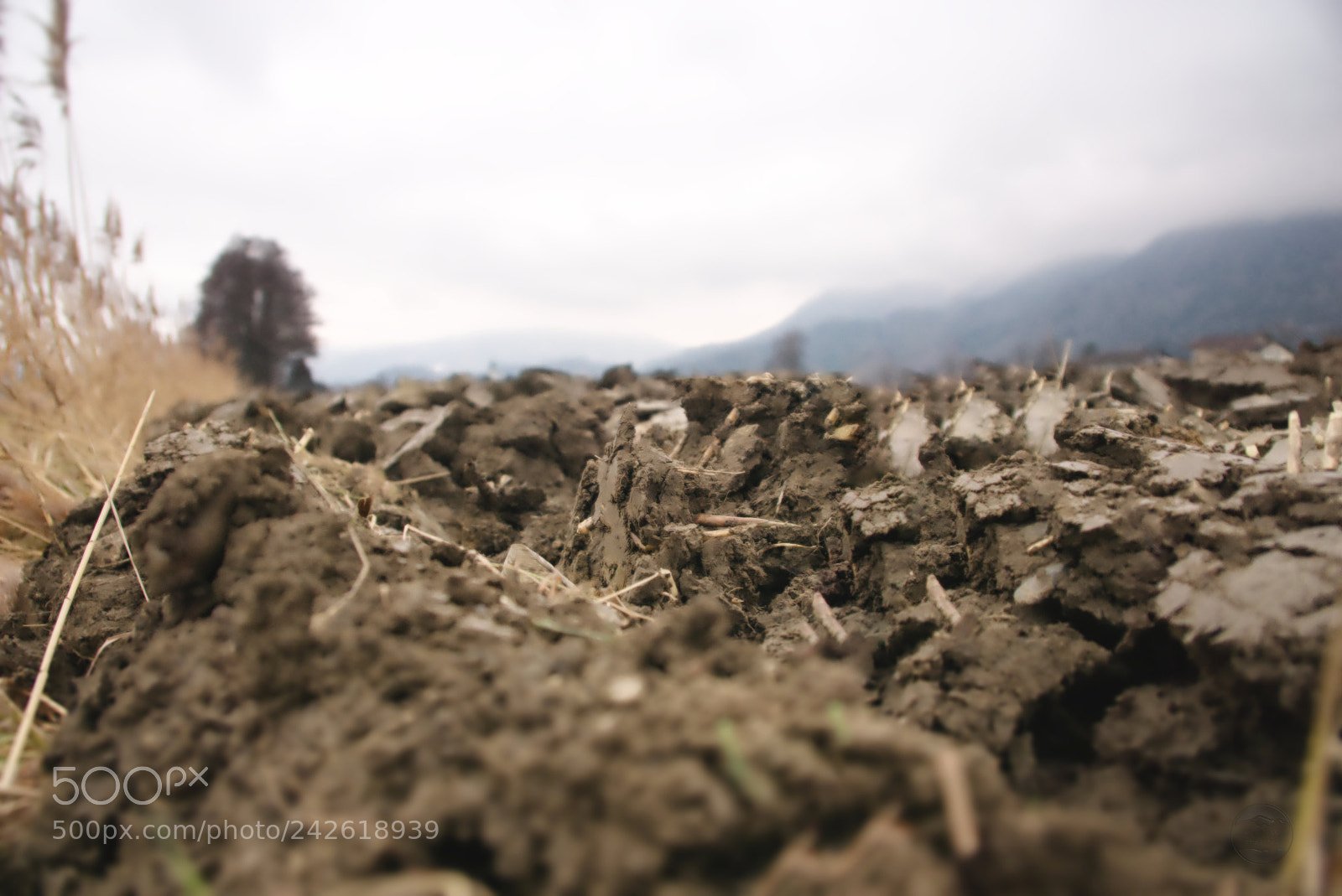 Sony ILCA-77M2 sample photo. Acre 3091 photography
