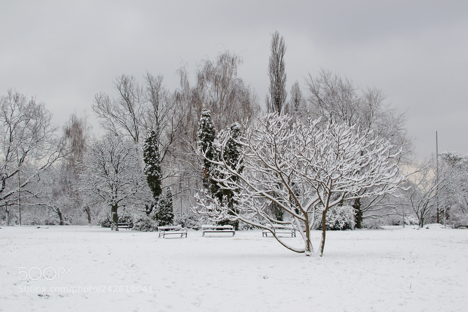 Nikon D3100 + Nikon AF-S DX Nikkor 35mm F1.8G sample photo. Winter on gell rt photography