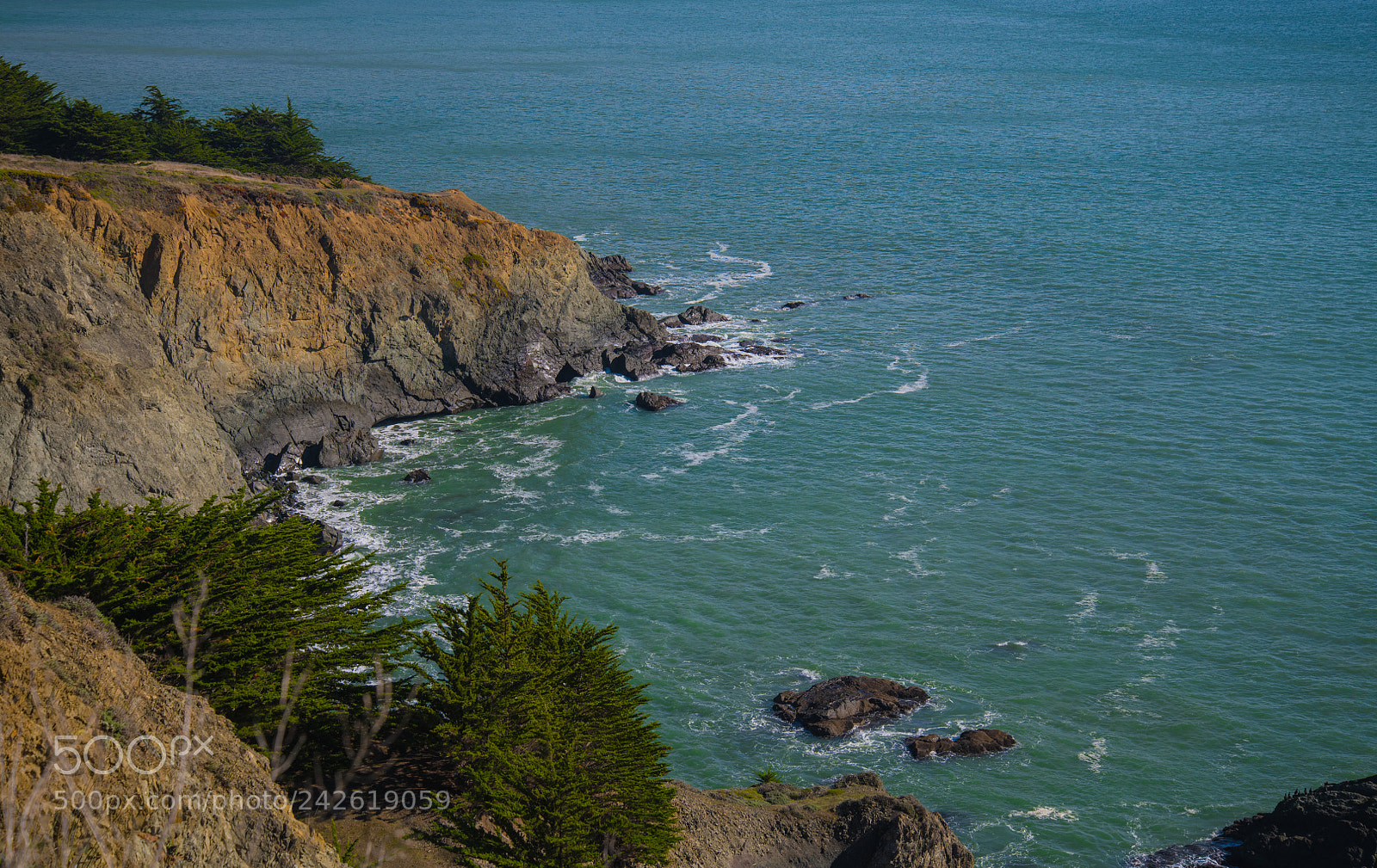 Nikon D850 sample photo. Coast of california photography