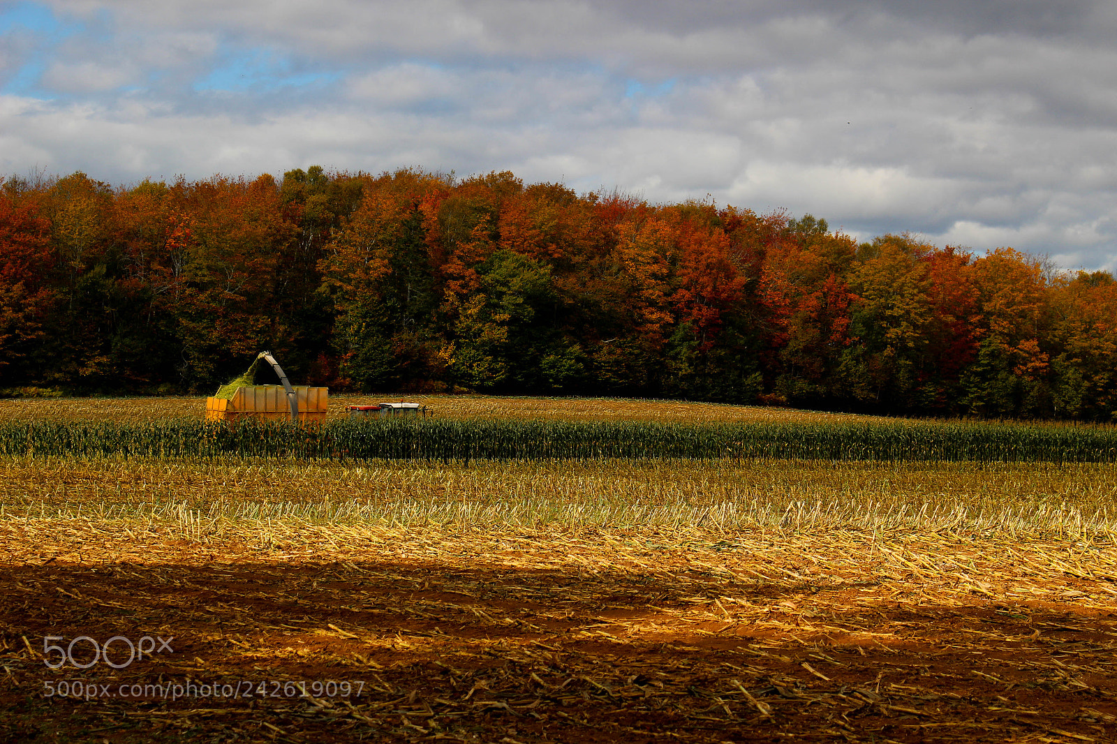 Canon EOS 100D (EOS Rebel SL1 / EOS Kiss X7) sample photo. Harvest day photography