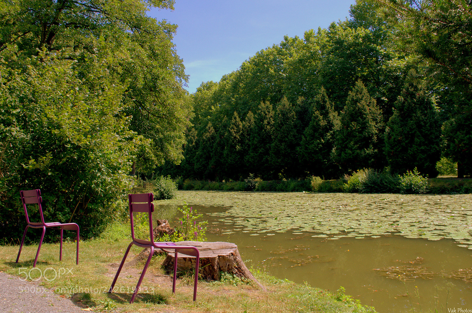 Nikon D3100 sample photo. Tranquility photography
