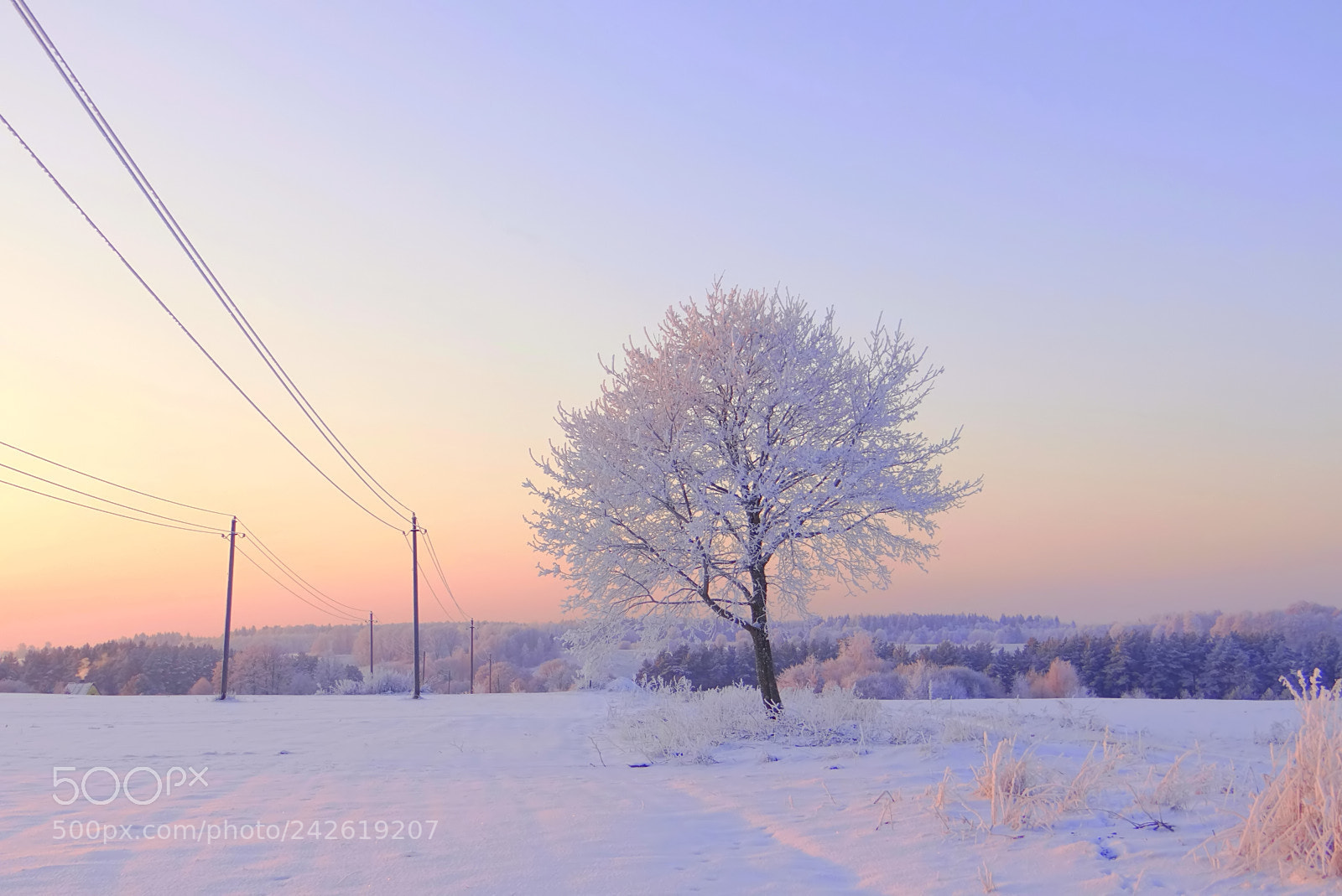 Sony DSC-HX200V sample photo. Cold morning photography