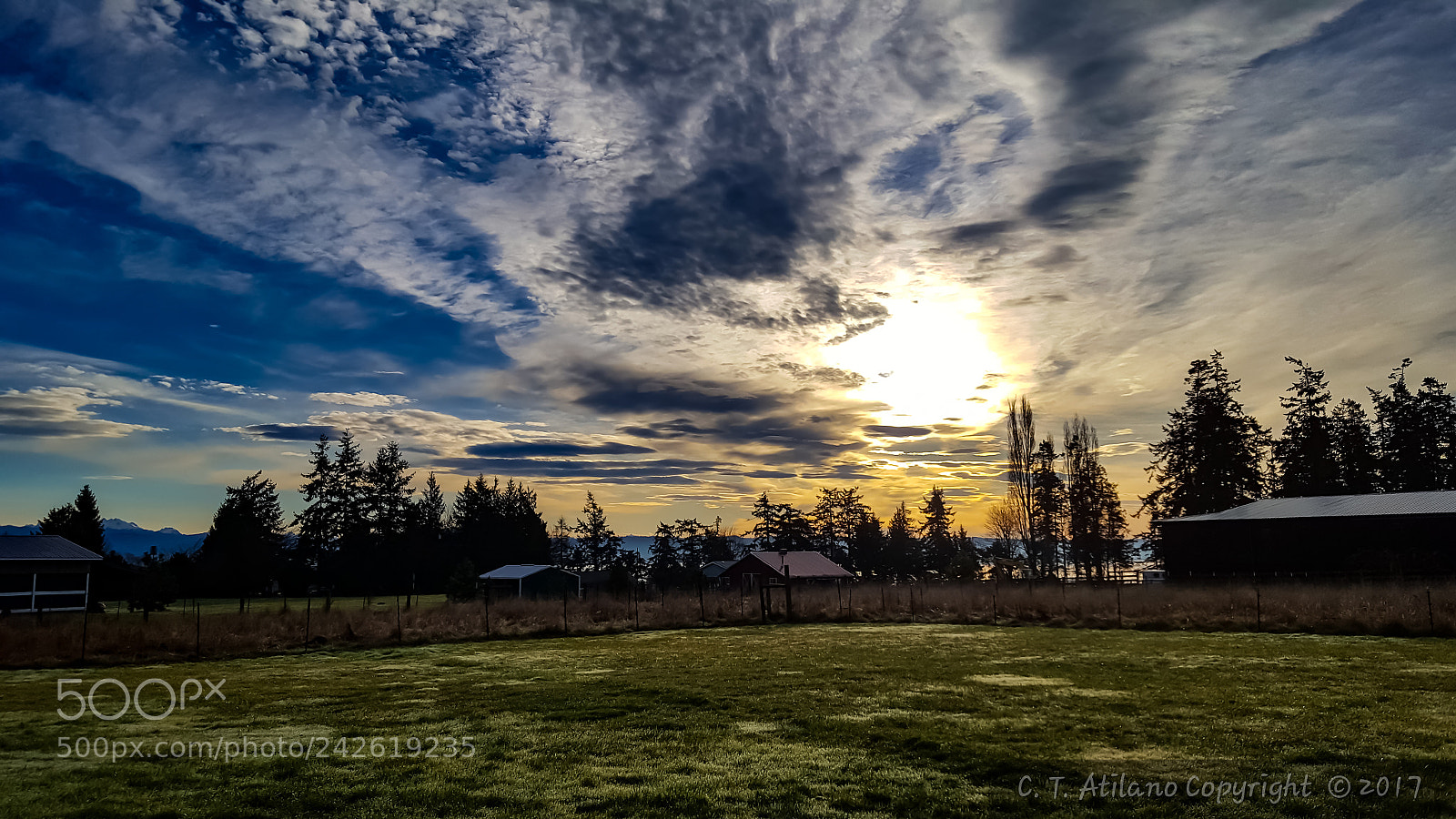 Samsung GALAXY S6 edge sample photo. January morning photography