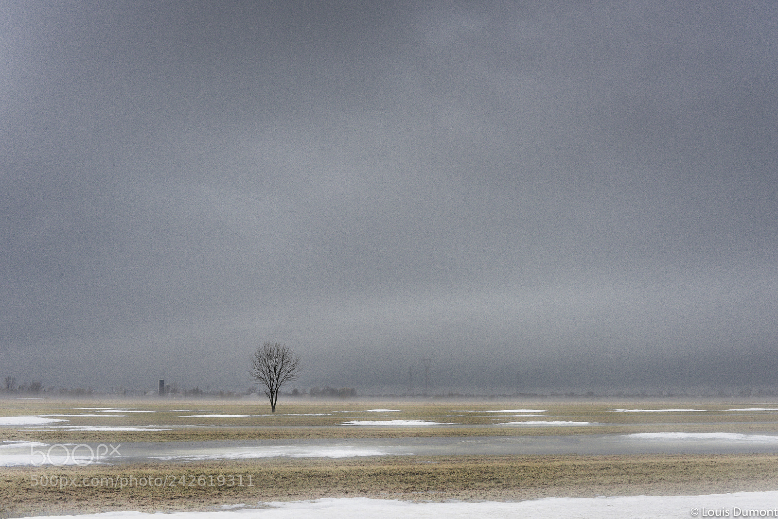 Nikon D810 sample photo. Redoux d'hiver 3 photography