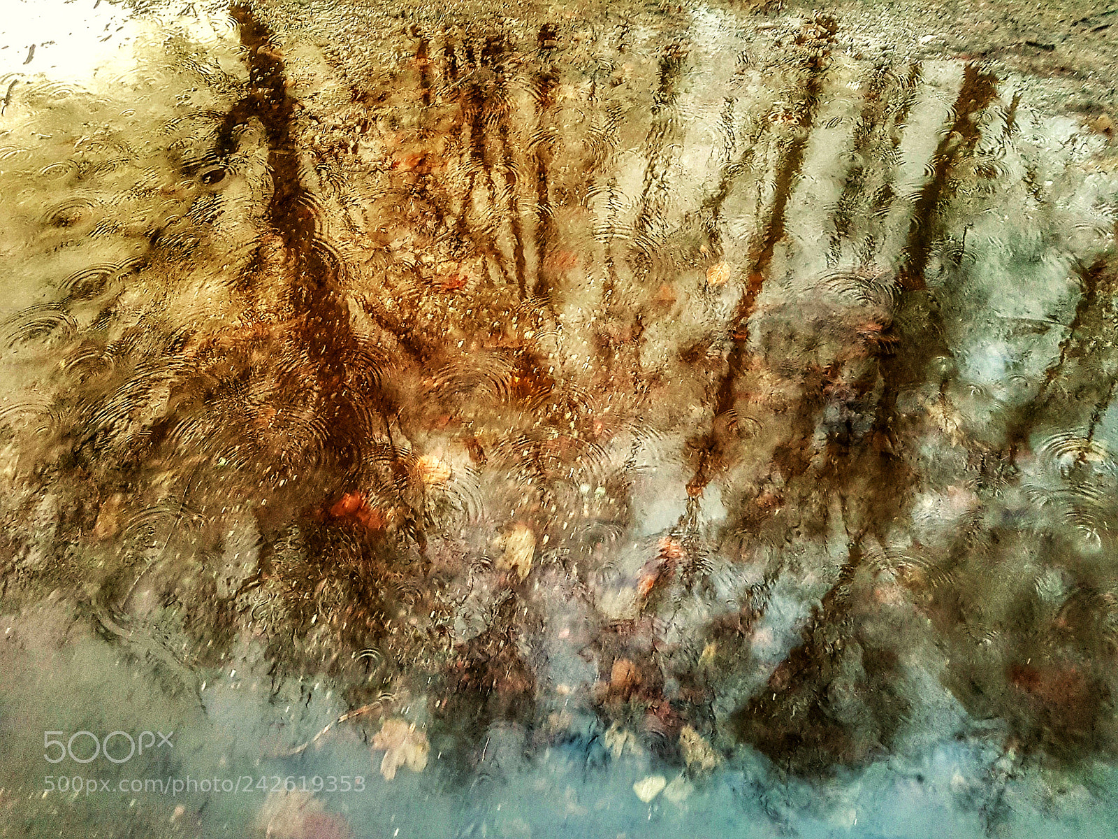 Samsung Galaxy S7 Edge sample photo. Raindrops... photography