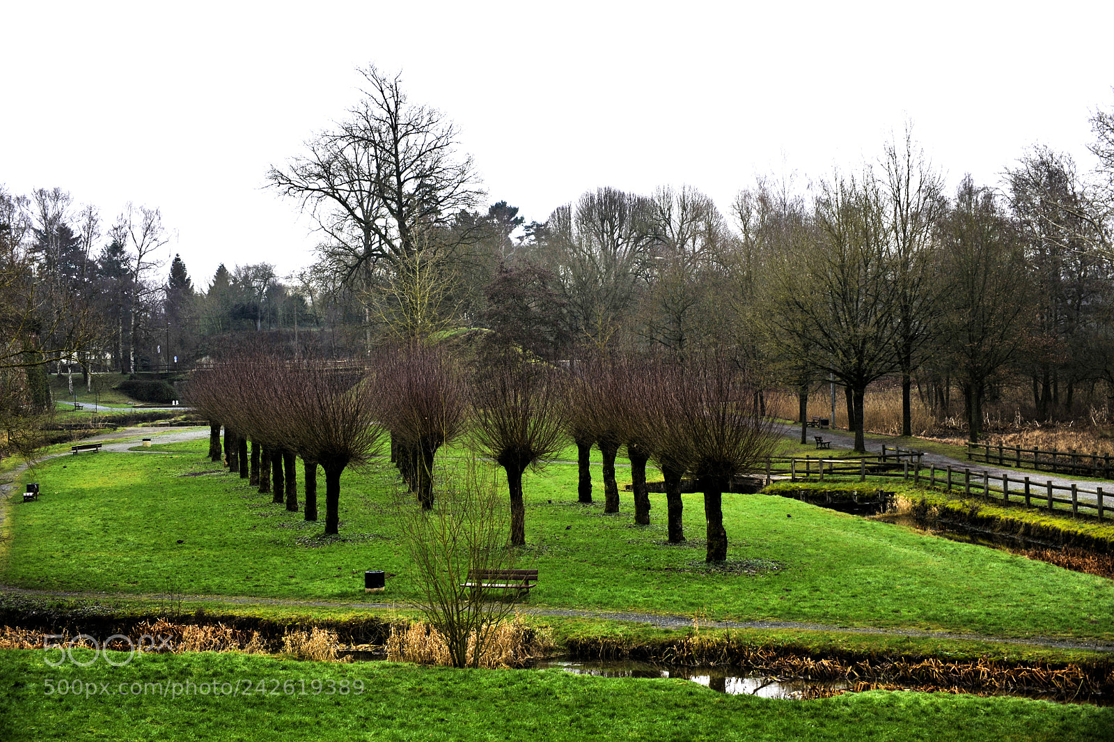 Nikon D700 sample photo. In the garden photography