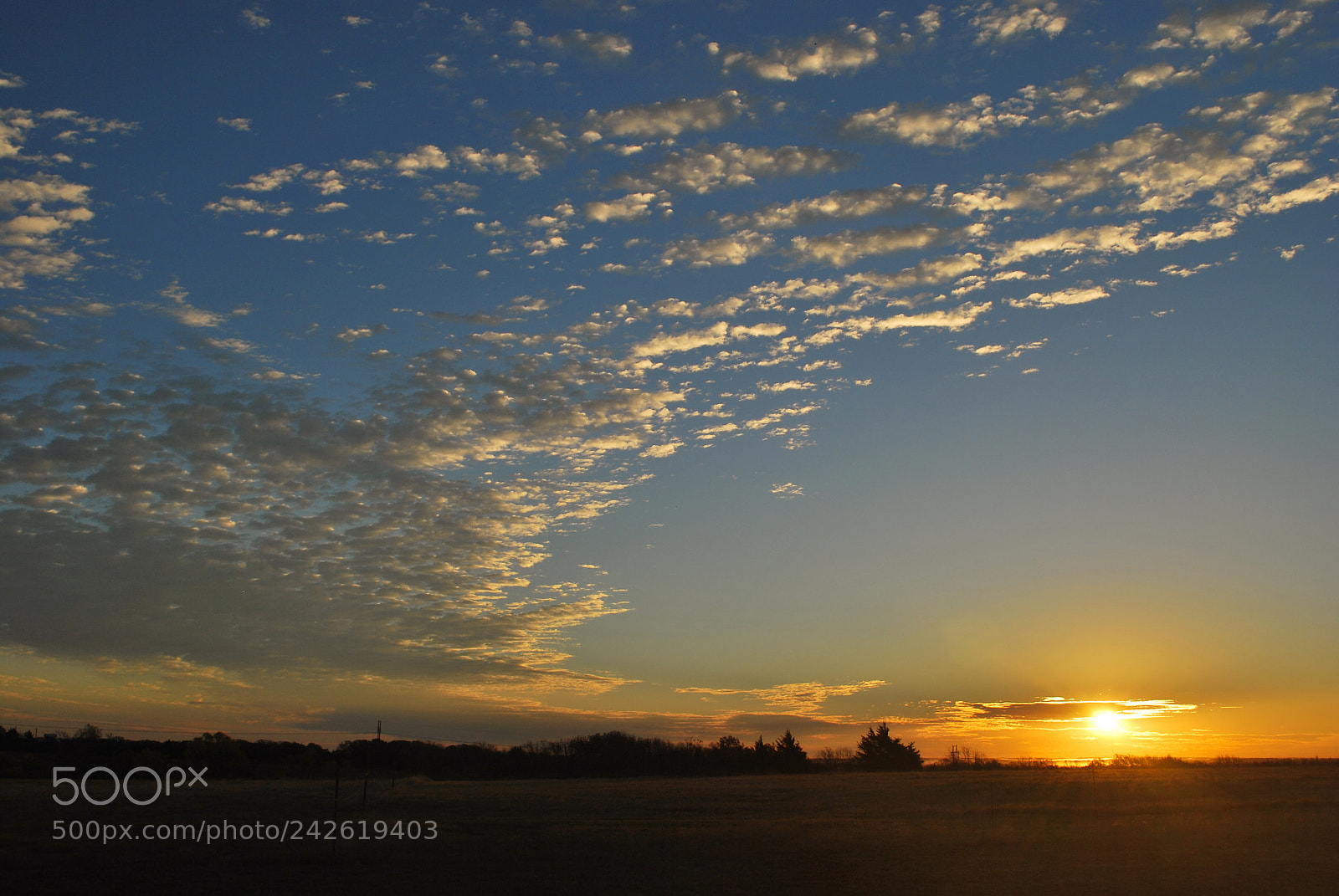 Nikon D60 sample photo. Early spring oklahoma sunrise photography