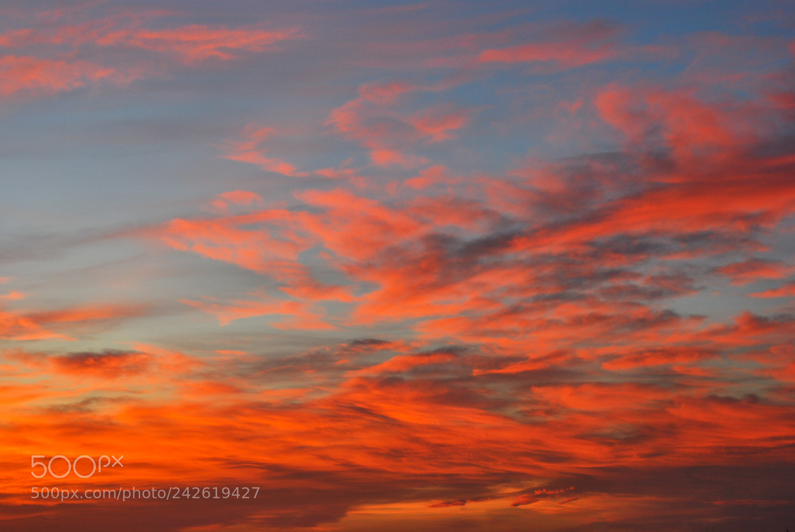 Nikon D60 sample photo. Sunrise of fire photography
