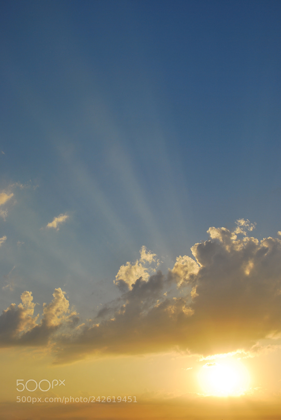 Nikon D60 sample photo. Sunrise in blue sky photography