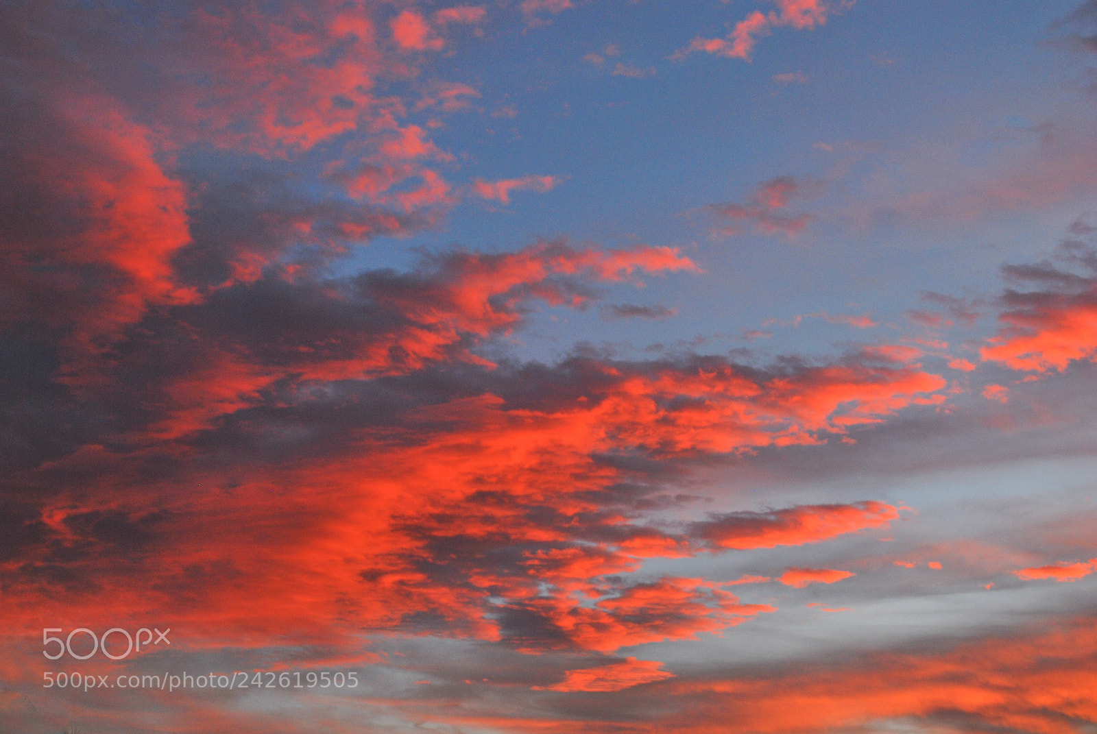 Nikon D60 sample photo. Sunrise of fire photography