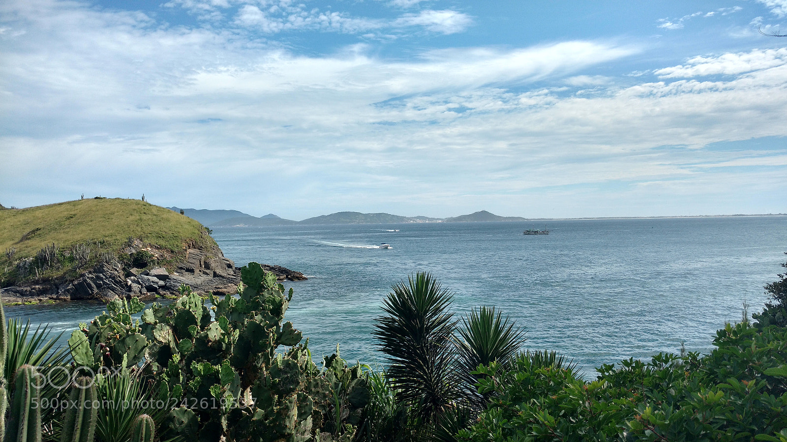 Motorola Moto X Play sample photo. Cactus e praia photography