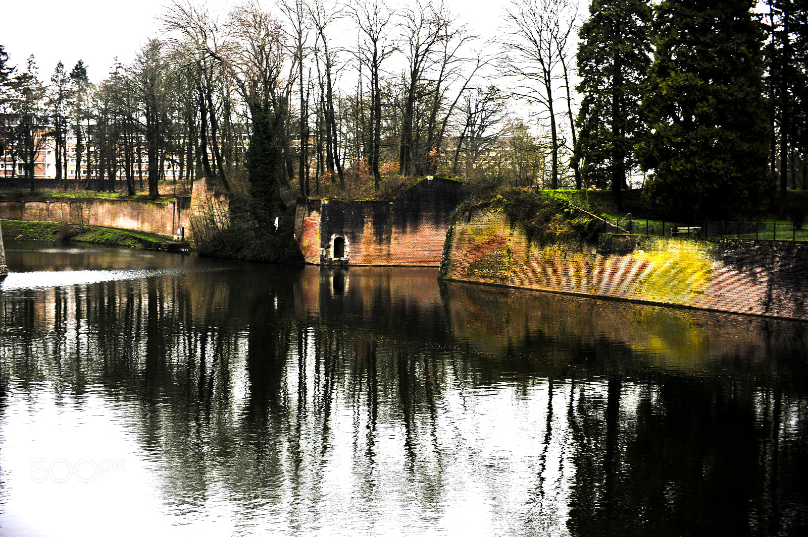 Nikon D700 sample photo. Reflection in the water photography