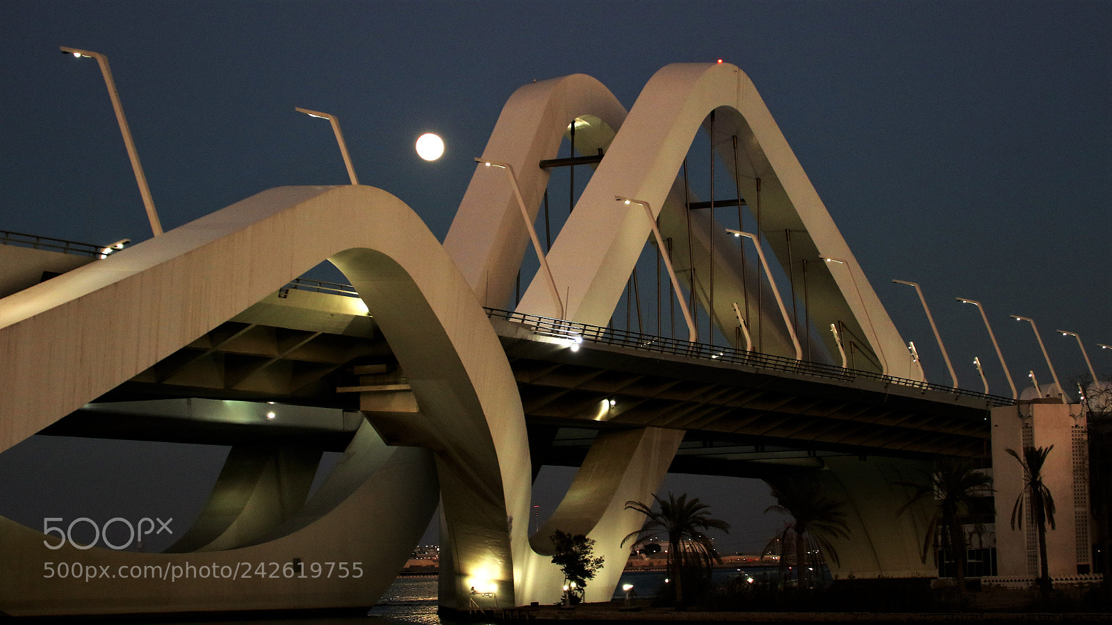 Canon EOS 7D Mark II sample photo. Sheikh zayed bridge photography