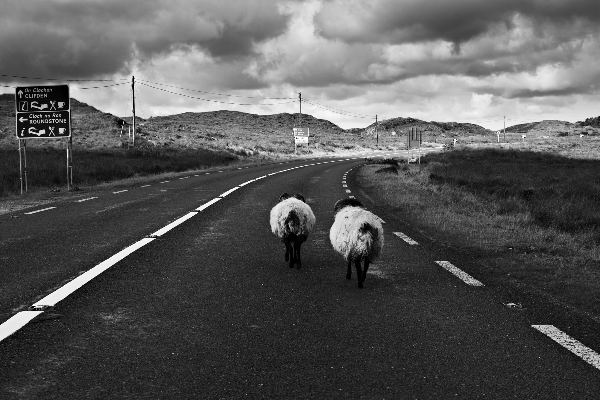 Nikon AF-S DX Nikkor 35mm F1.8G sample photo. On the road to clifden (ireland) photography