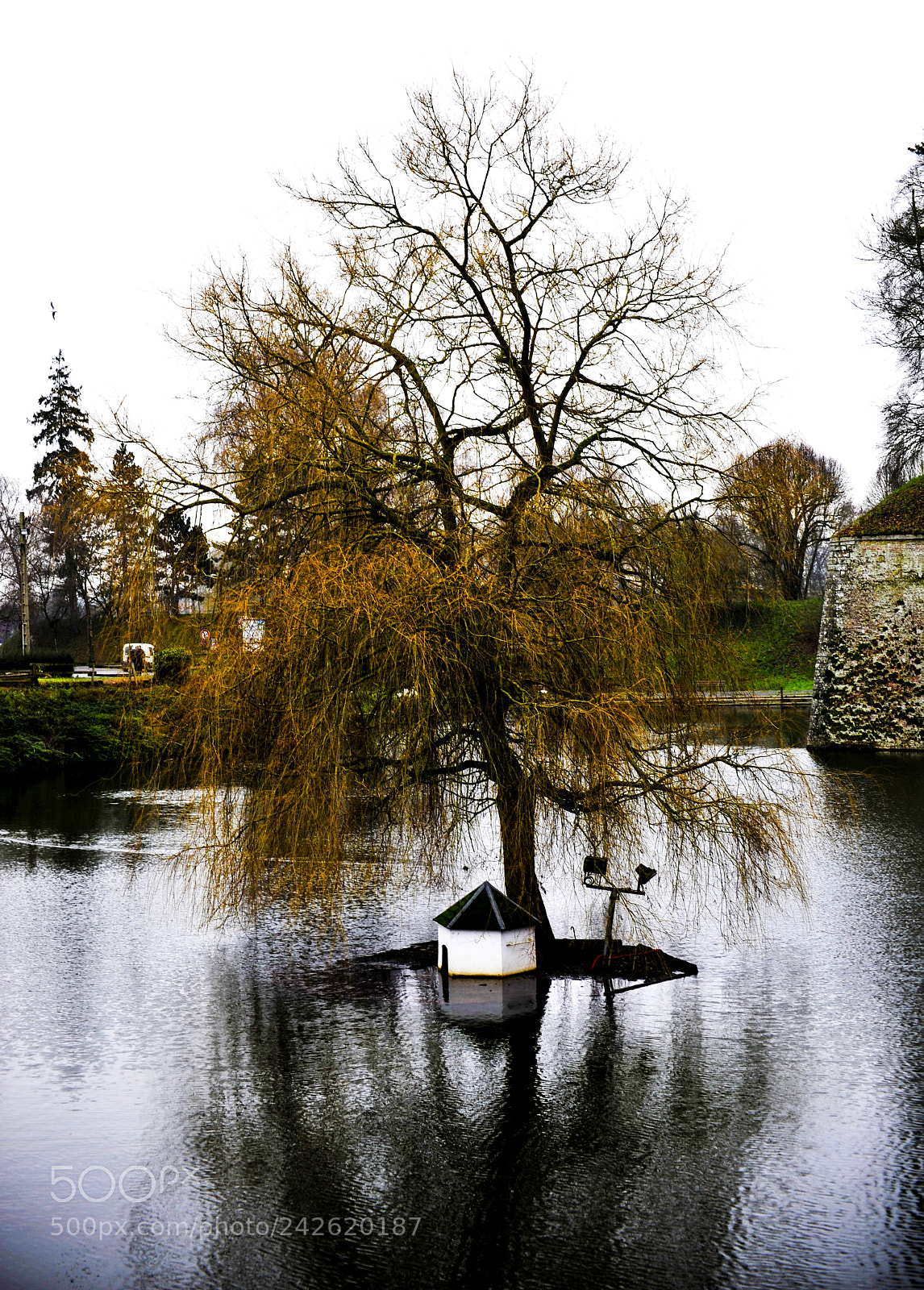 Nikon D700 sample photo. Water mirror photography