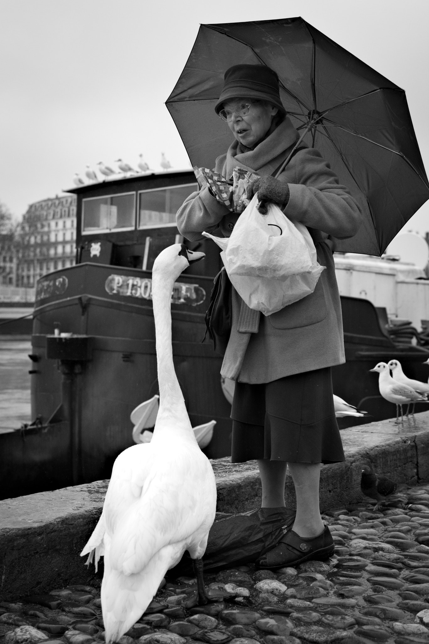 Nikon AF-S DX Nikkor 35mm F1.8G sample photo. The old lady and the swan, lyon (france) photography