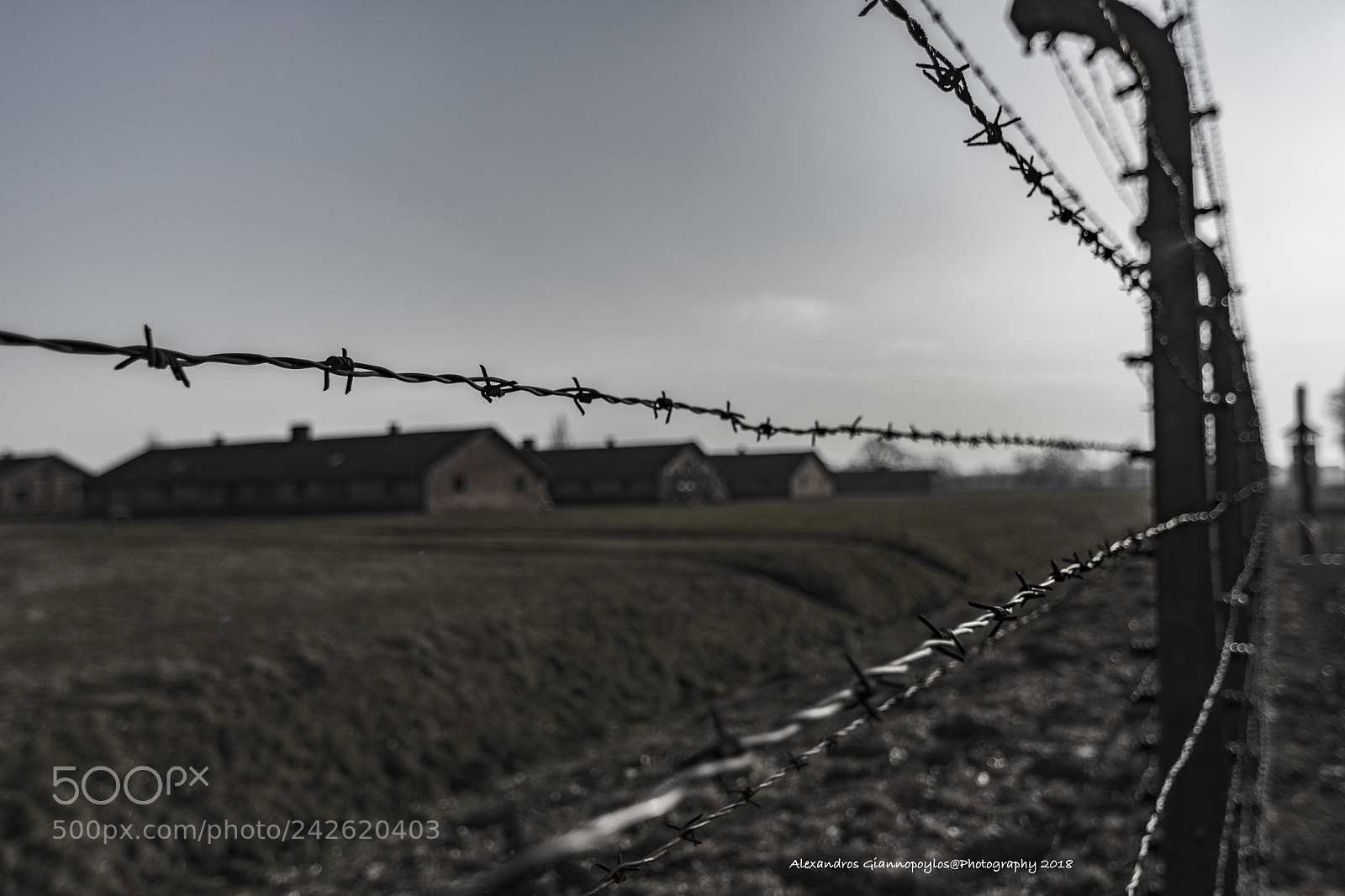 Nikon D7200 sample photo. Auschwitz photography