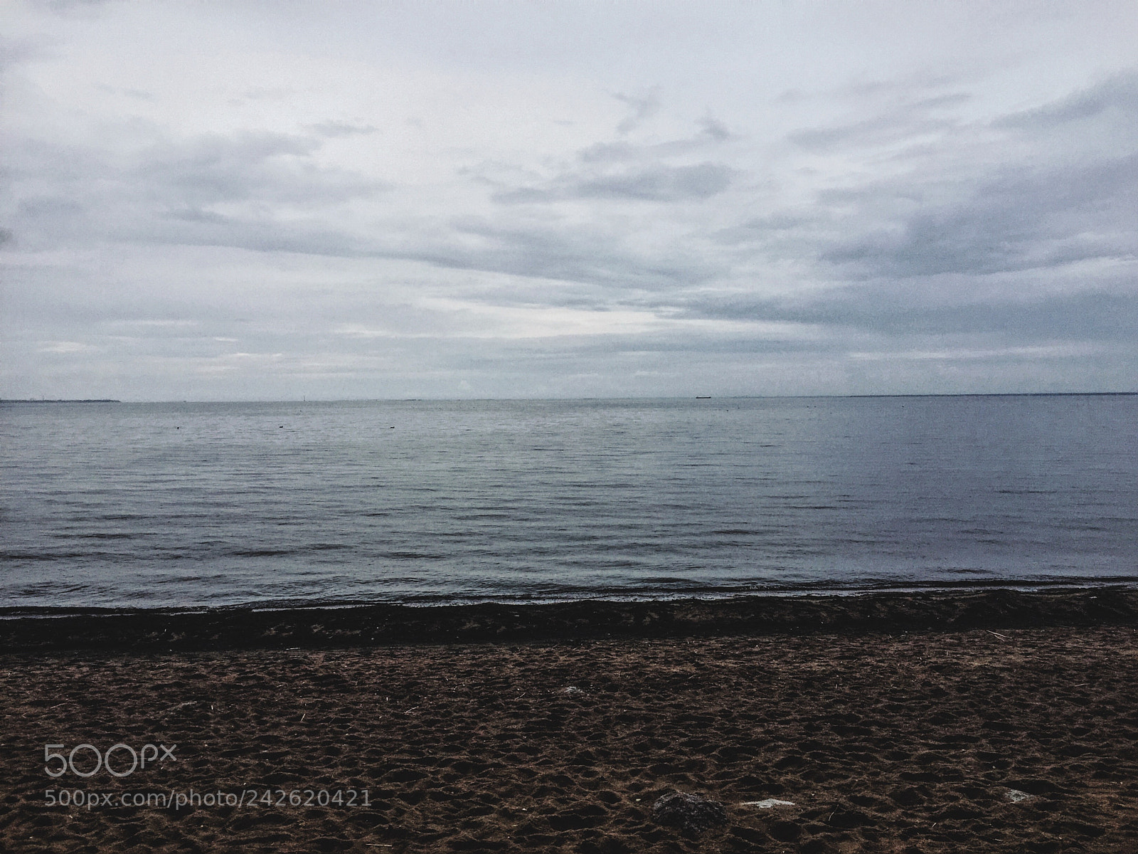 Apple iPhone 6 sample photo. Keep calm and listen photography