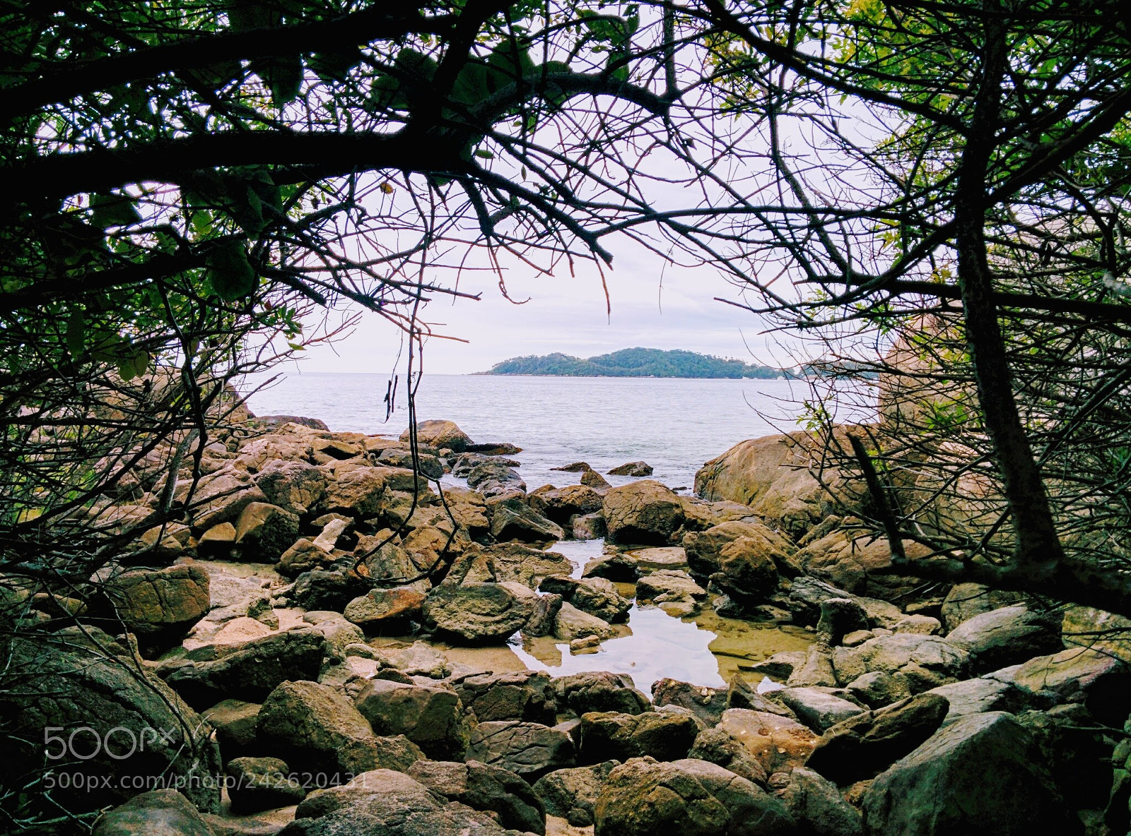 LG Nexus 5 sample photo. Bombinhas, brazil photography