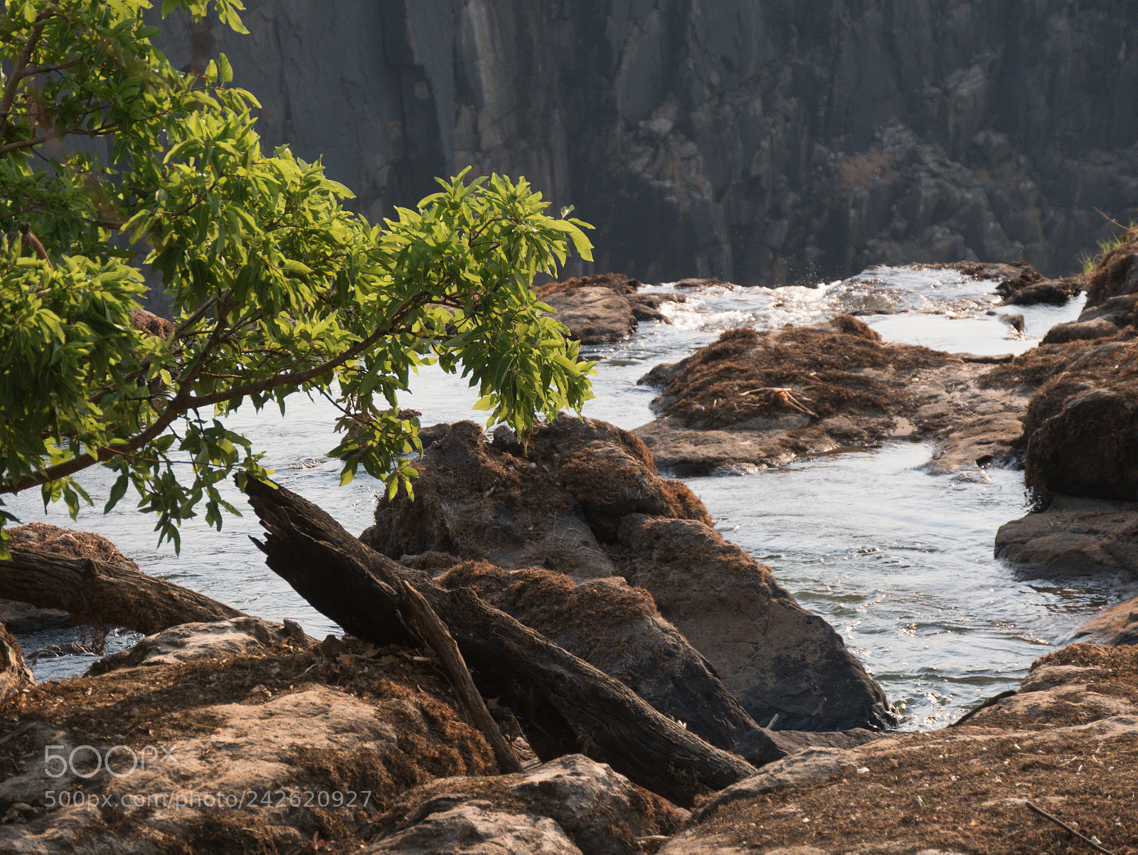 Panasonic DMC-G70 sample photo. Zambezi river photography
