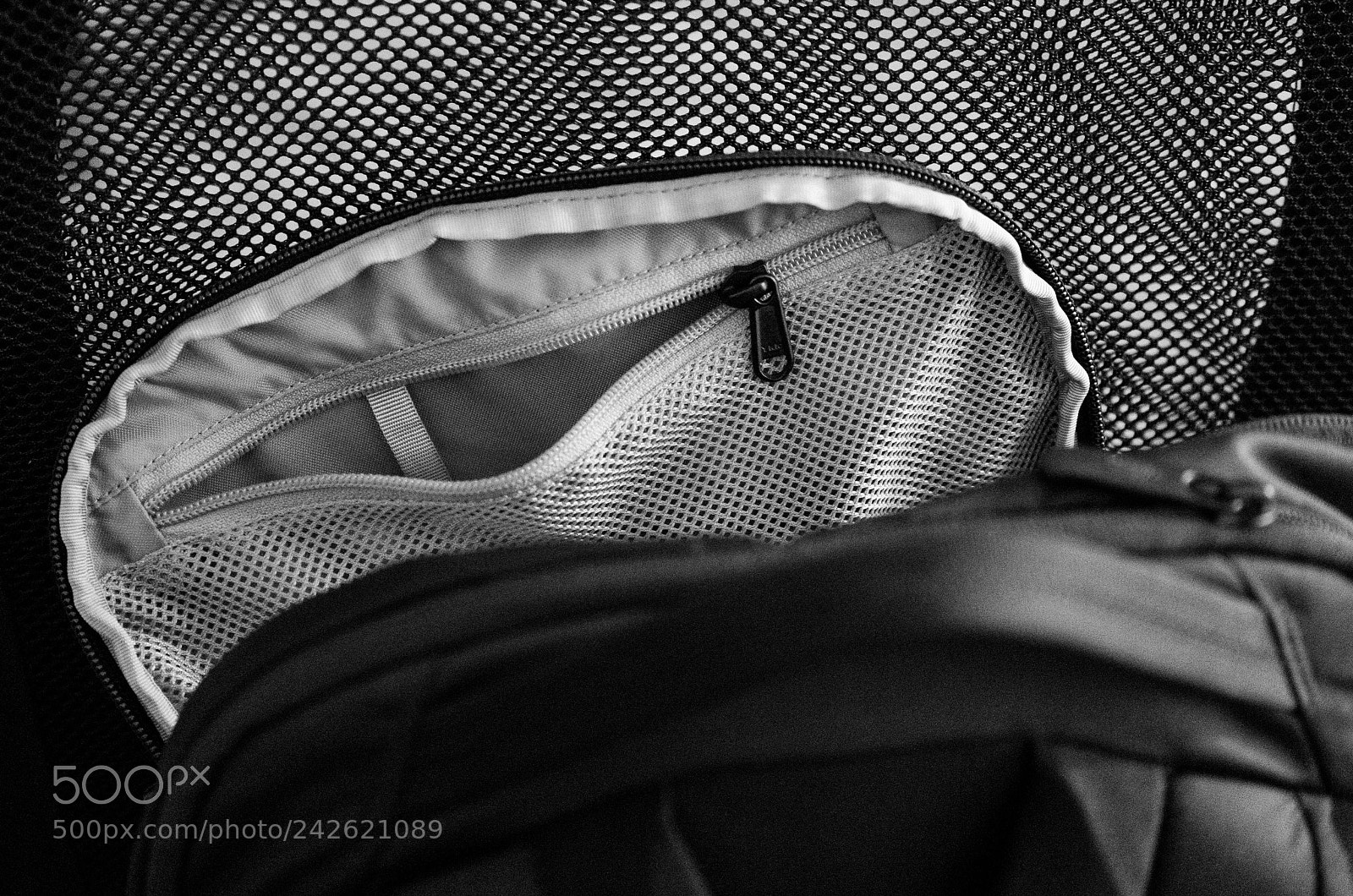 Sony a7 II sample photo. 307/ 365 webs photography
