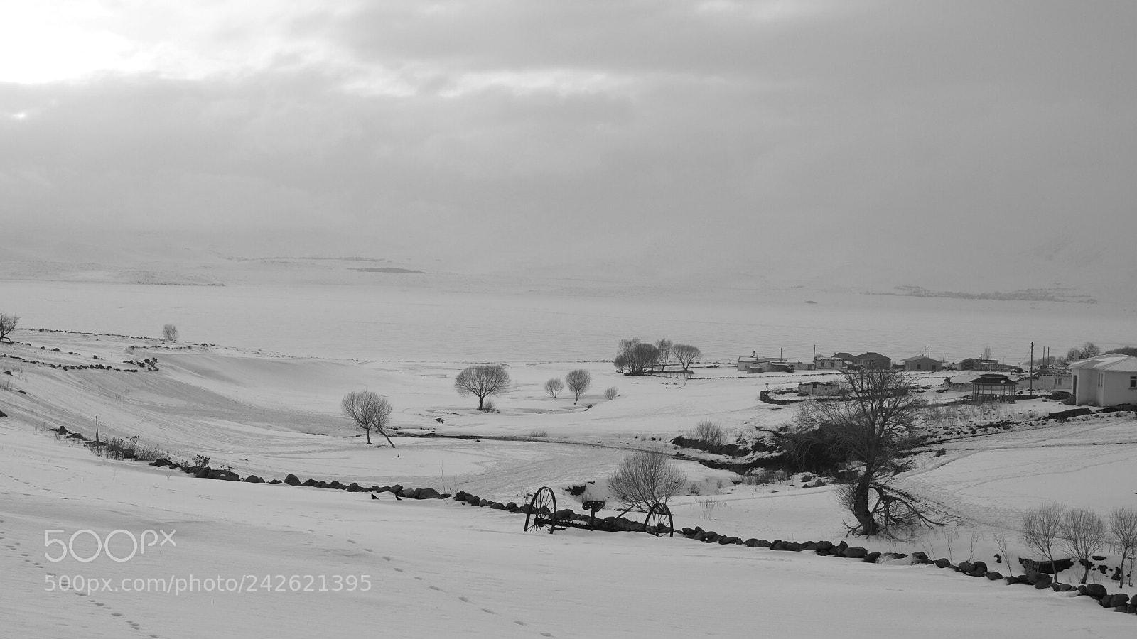 Olympus OM-D E-M1 Mark II sample photo. Black&white photography