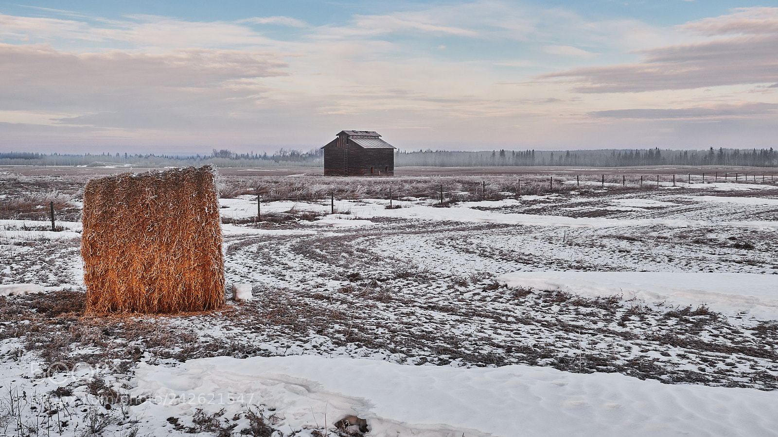 Nikon D850 sample photo. Bale and barn in photography