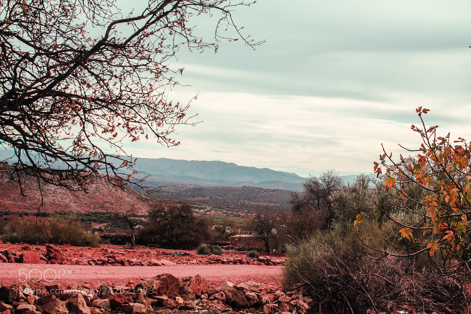 Canon EOS 550D (EOS Rebel T2i / EOS Kiss X4) sample photo. Athlas mountains photography