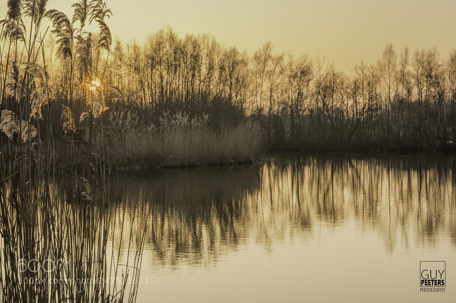 Nikon D7100 sample photo. Orange sunrise photography