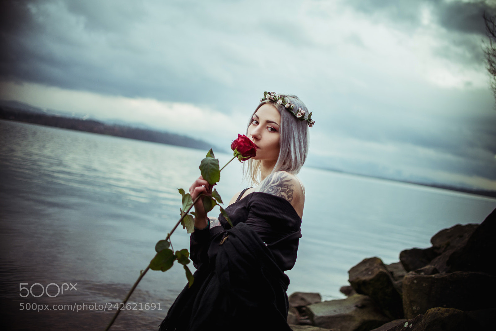 Nikon D610 sample photo. Quiet beauty photography