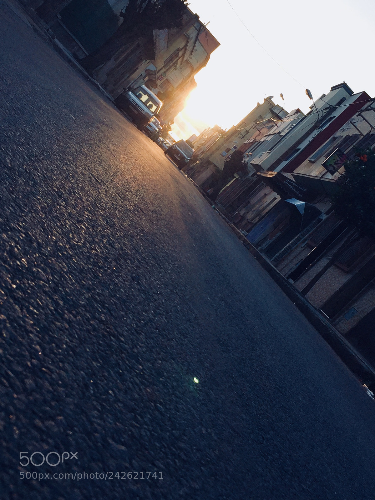 Apple iPhone 6 Plus sample photo. Untitled photography