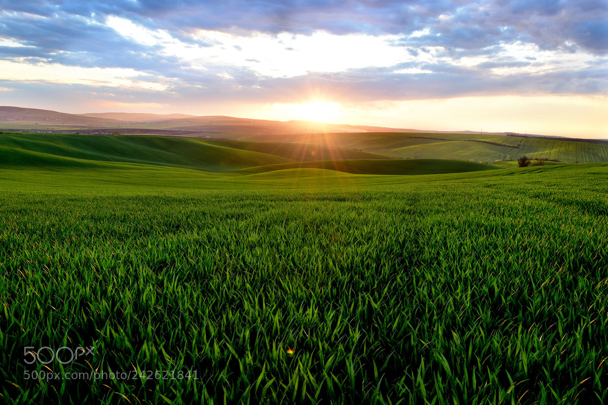 Nikon D5500 sample photo. Moravian sunset photography