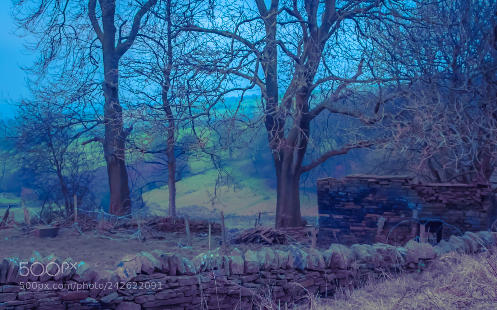 Fujifilm X-E2 sample photo. Blue ruin monday photography