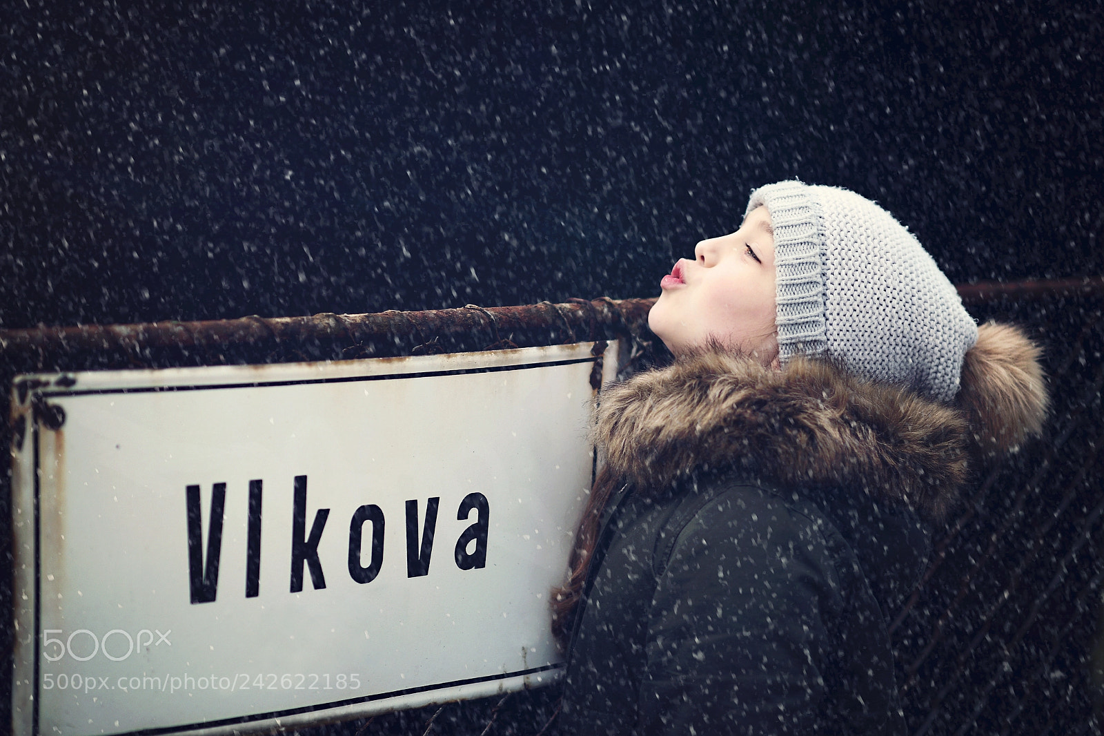 Nikon D810 sample photo. Carolinewolf photography
