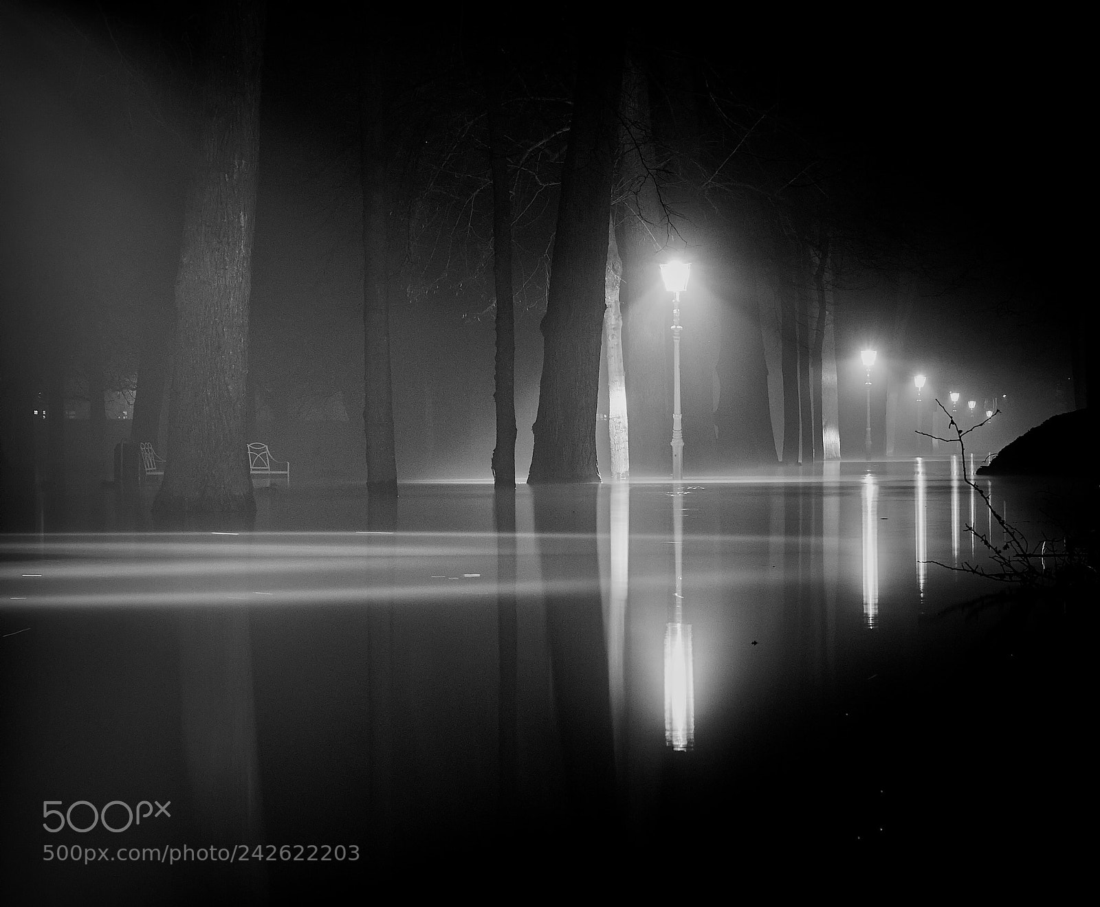 Fujifilm X-T20 sample photo. High water in de photography