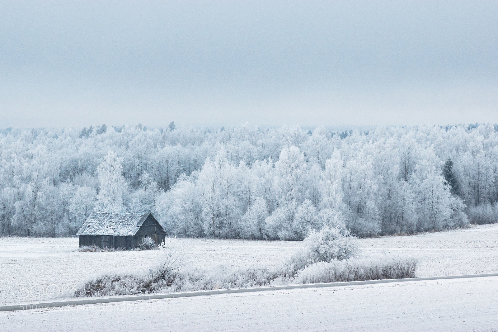 Nikon D3300 sample photo. Estonian winter photography