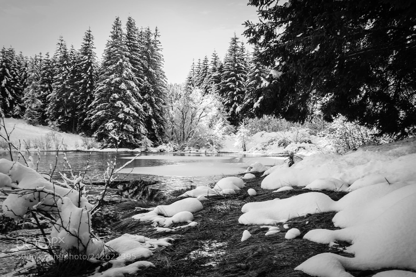 Nikon D7200 sample photo. Aubrac-lac-hiver photography