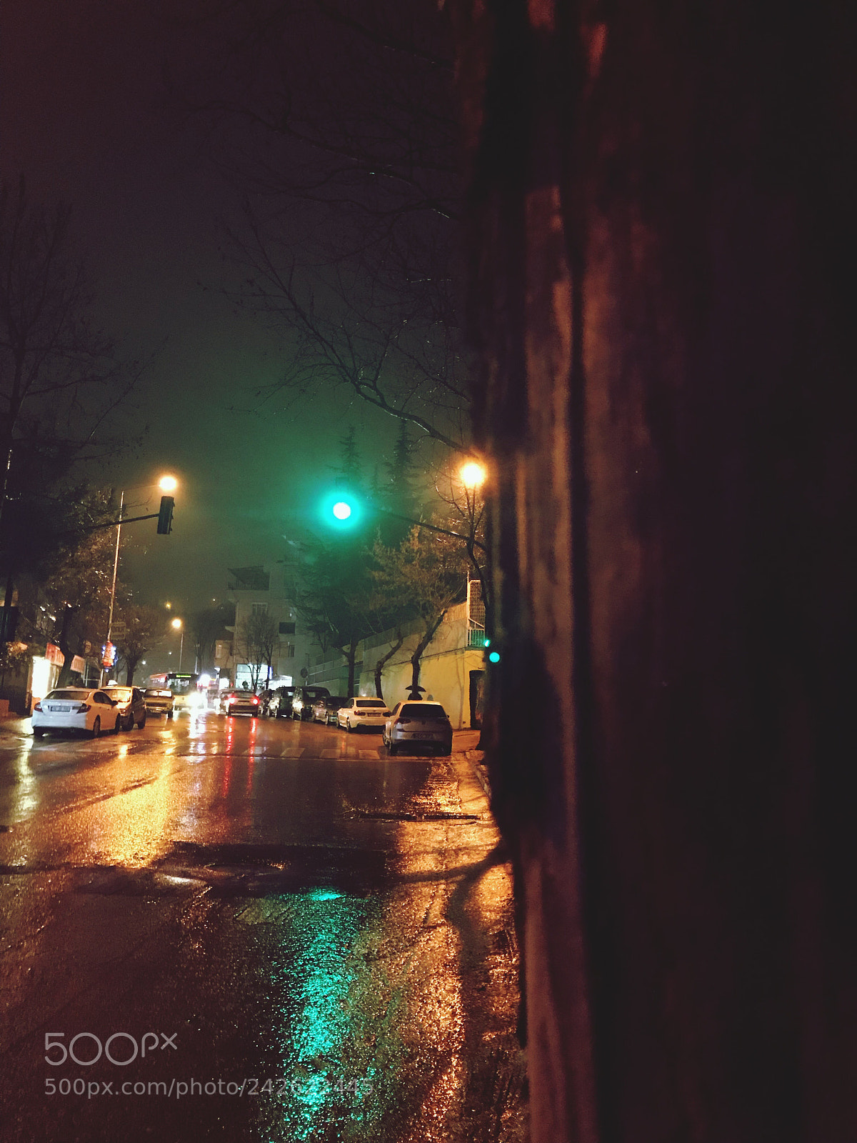 Apple iPhone 7 sample photo. Green light photography