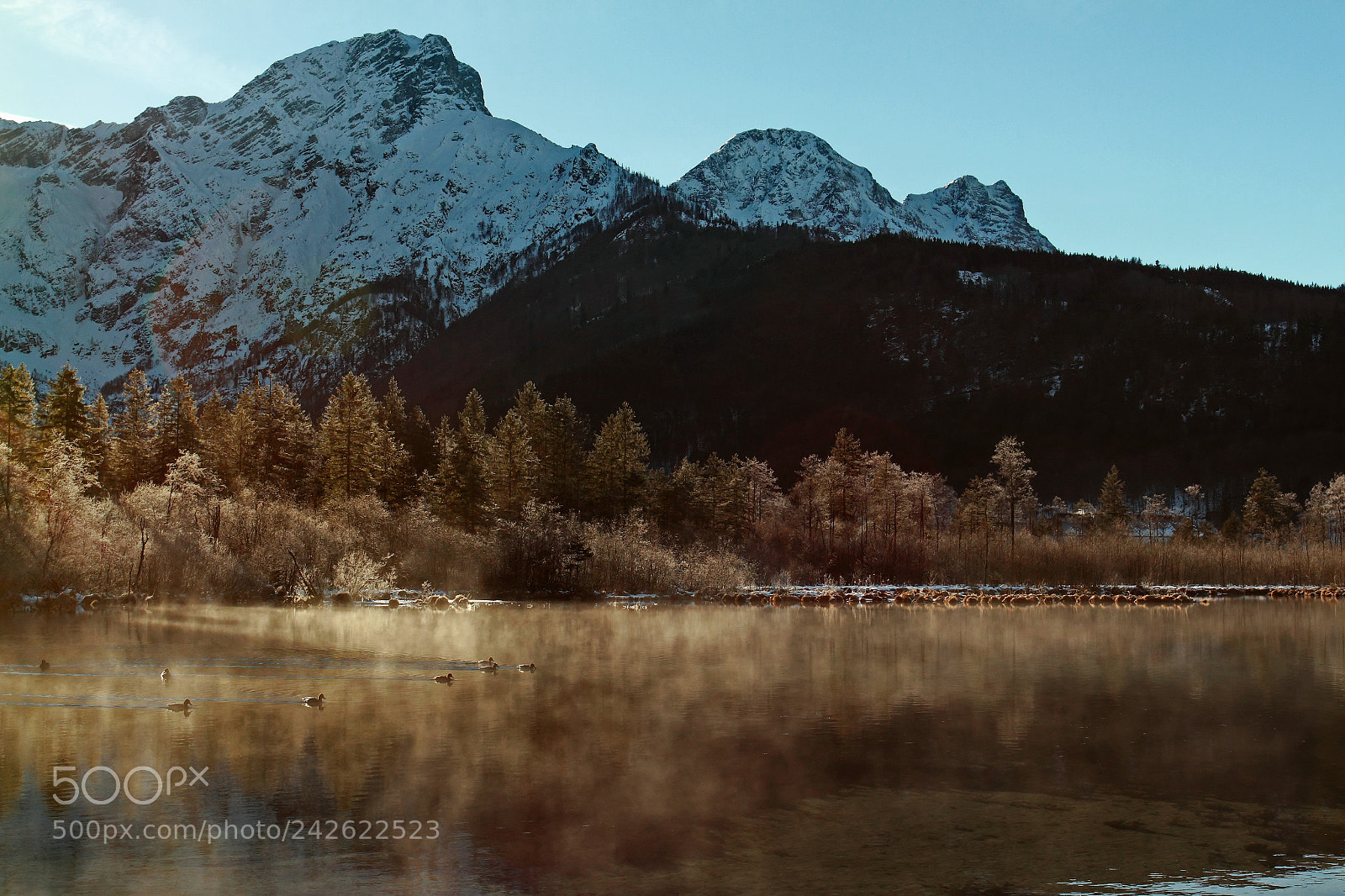 Canon EOS 7D + Canon EF 17-40mm F4L USM sample photo. Almsee photography