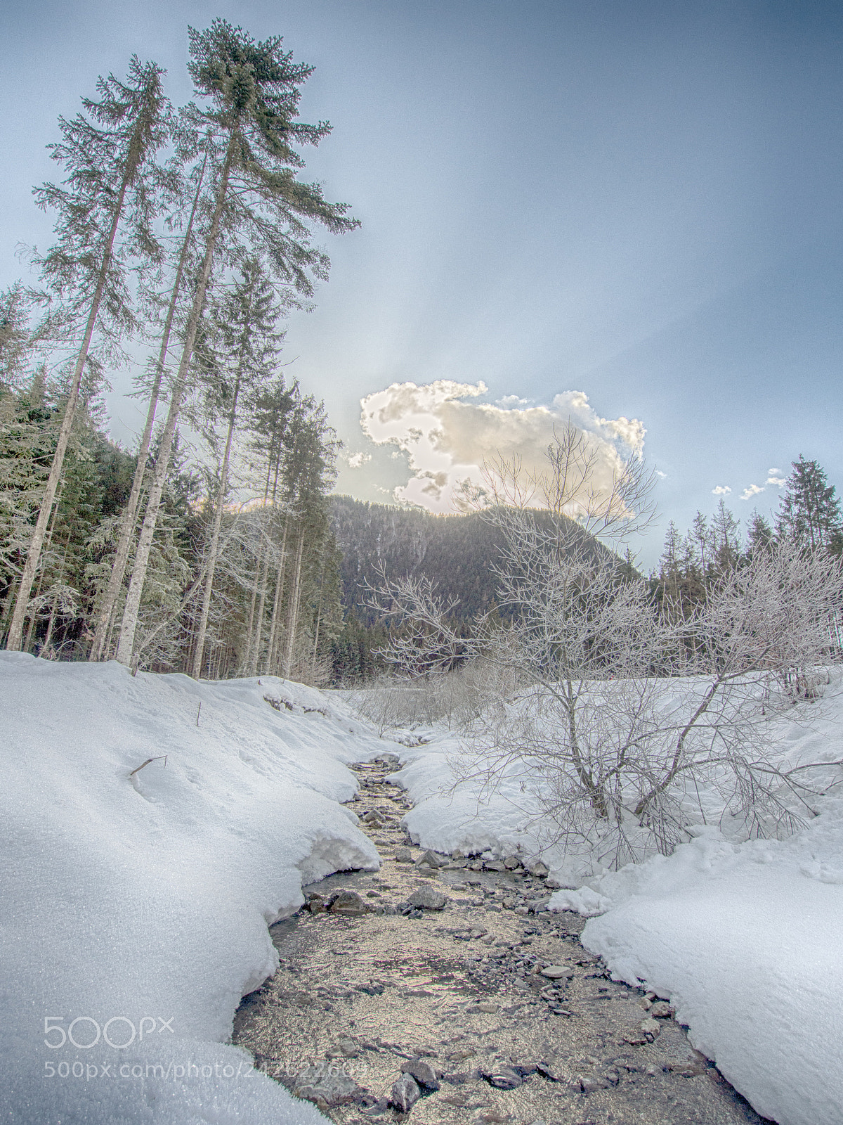 Olympus OM-D E-M5 sample photo. The small thaw photography