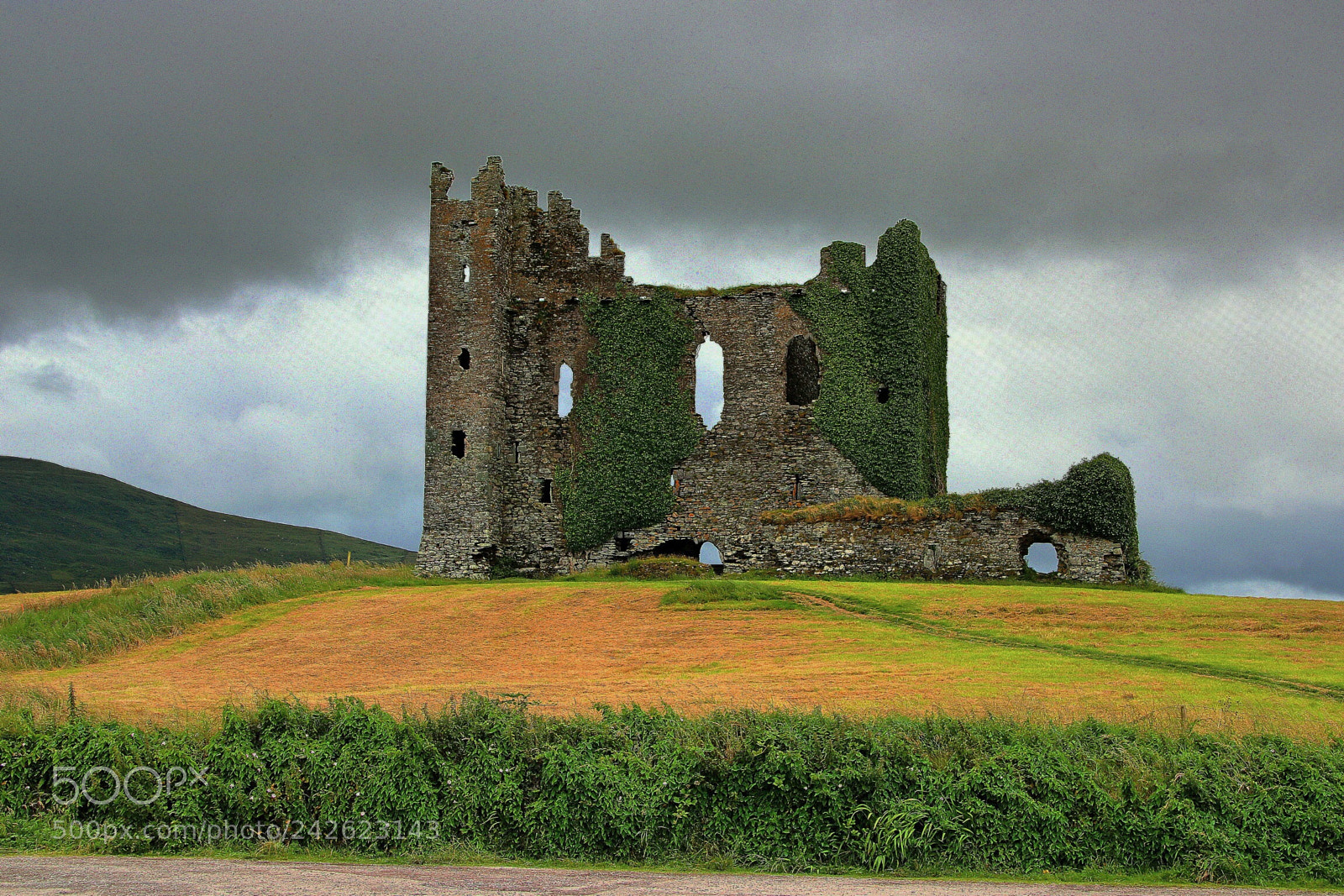 Canon EOS 760D (EOS Rebel T6s / EOS 8000D) sample photo. Morbid ruins in ireland photography