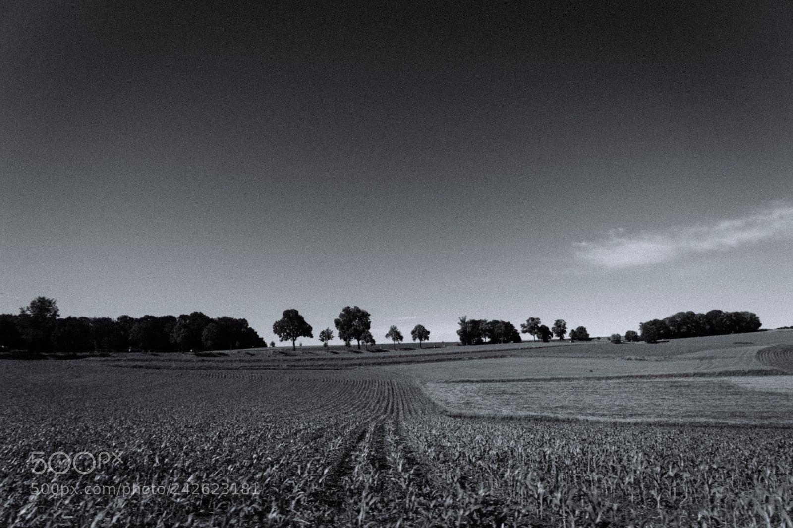 Sony SLT-A68 sample photo. Random bavarian landscapes photography
