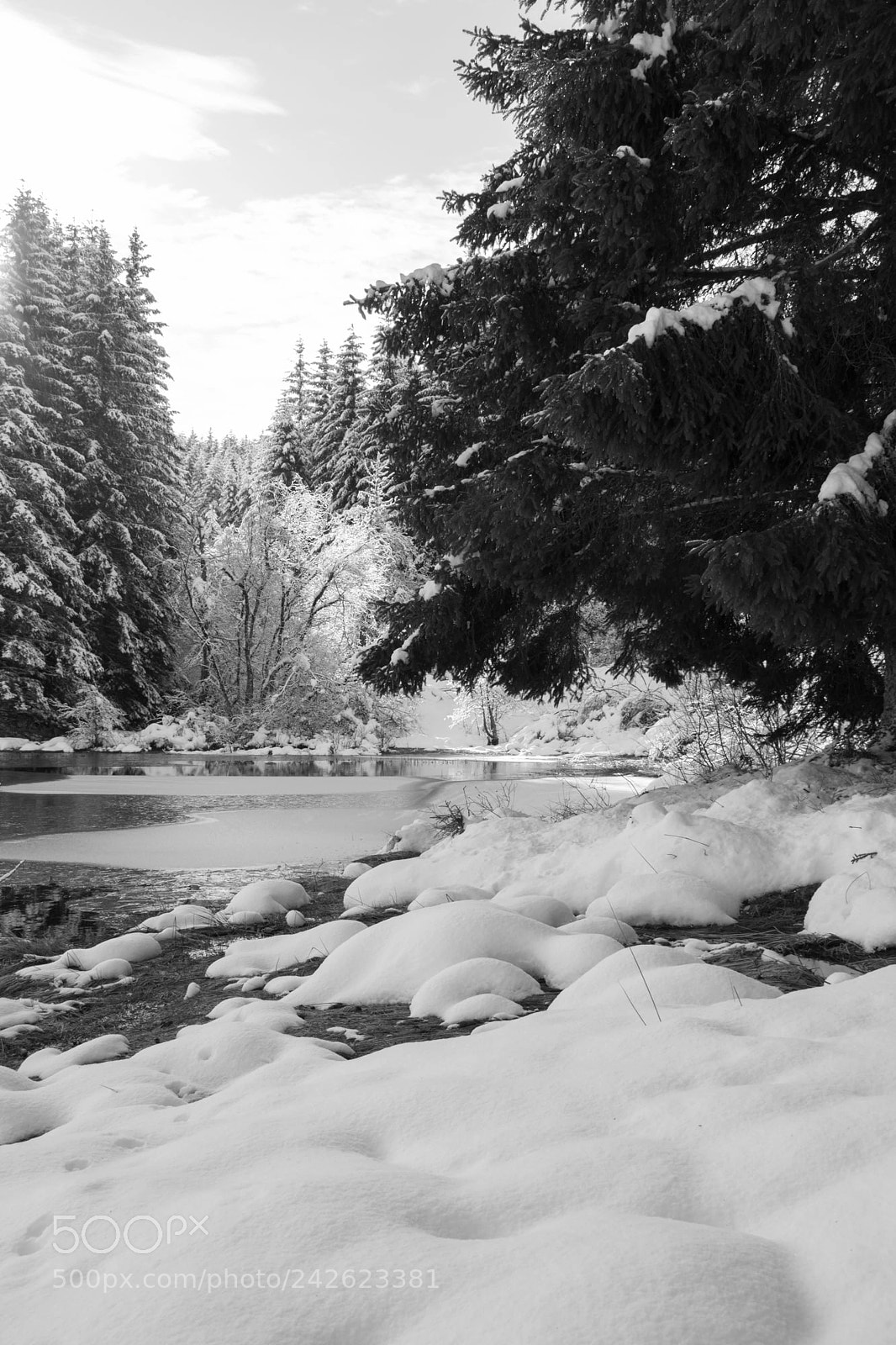 Nikon D7200 sample photo. Aubrac sous la neige photography