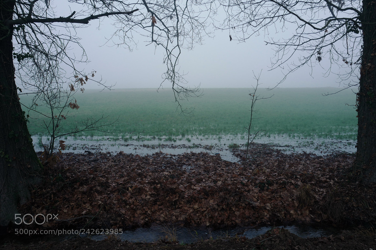 Leica Q (Typ 116) sample photo. Winter levels - stage photography