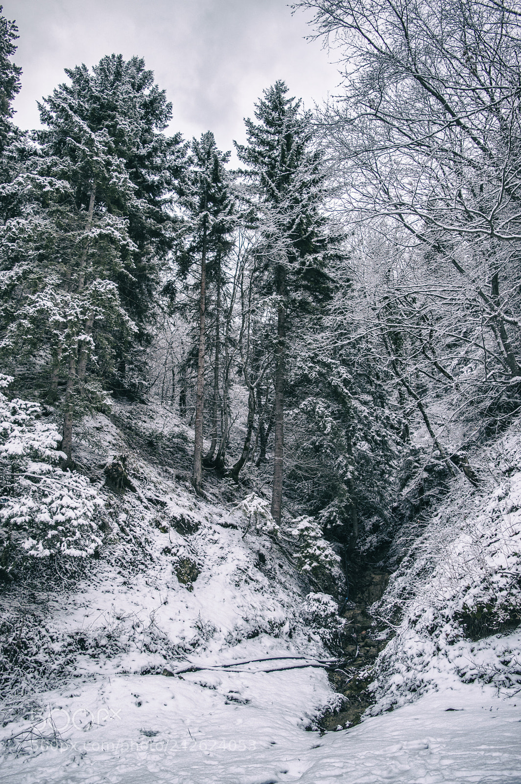 Nikon D3200 sample photo. Kintsvisi photography