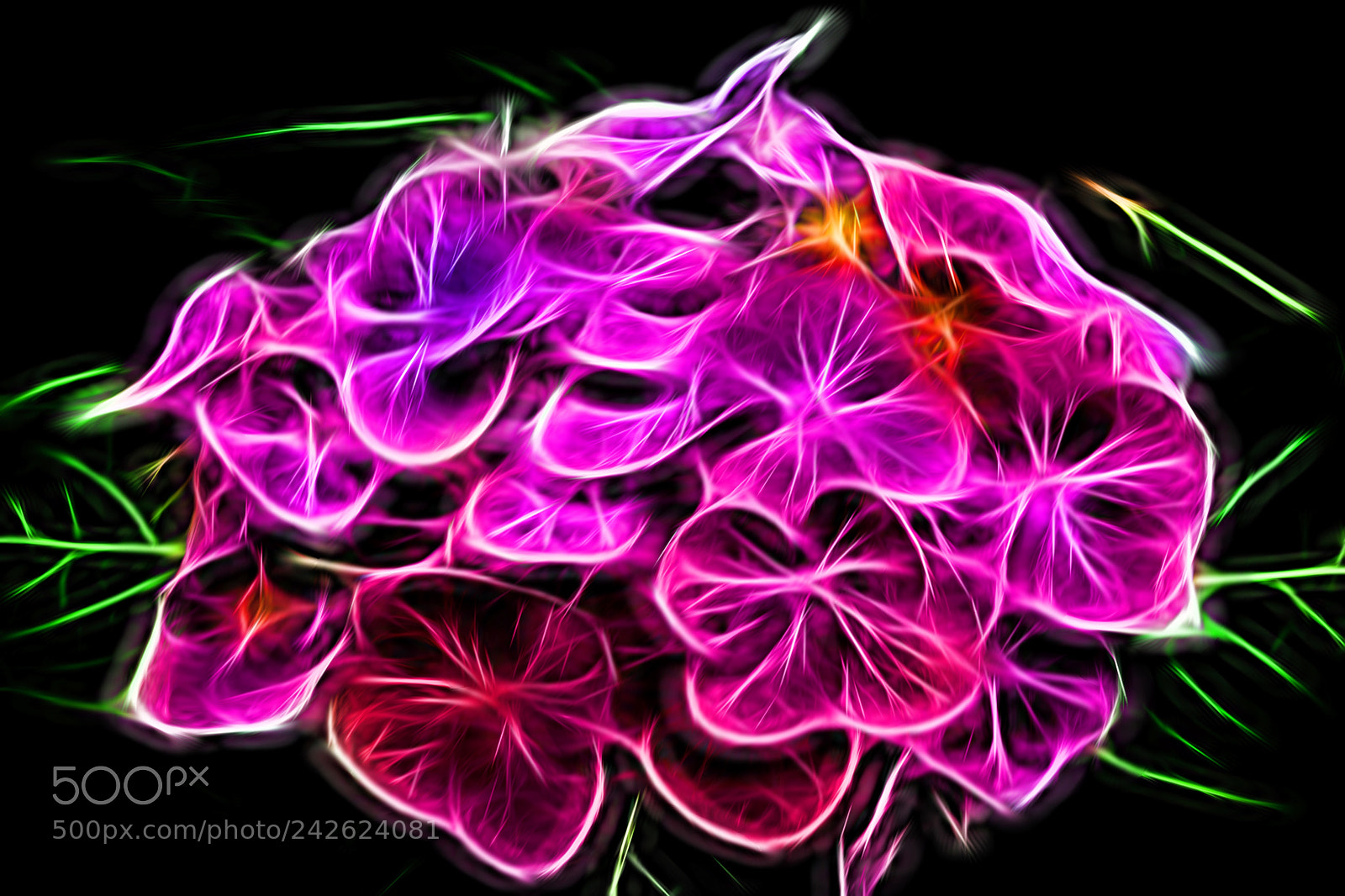 Nikon D7100 sample photo. Flower photography.   photography