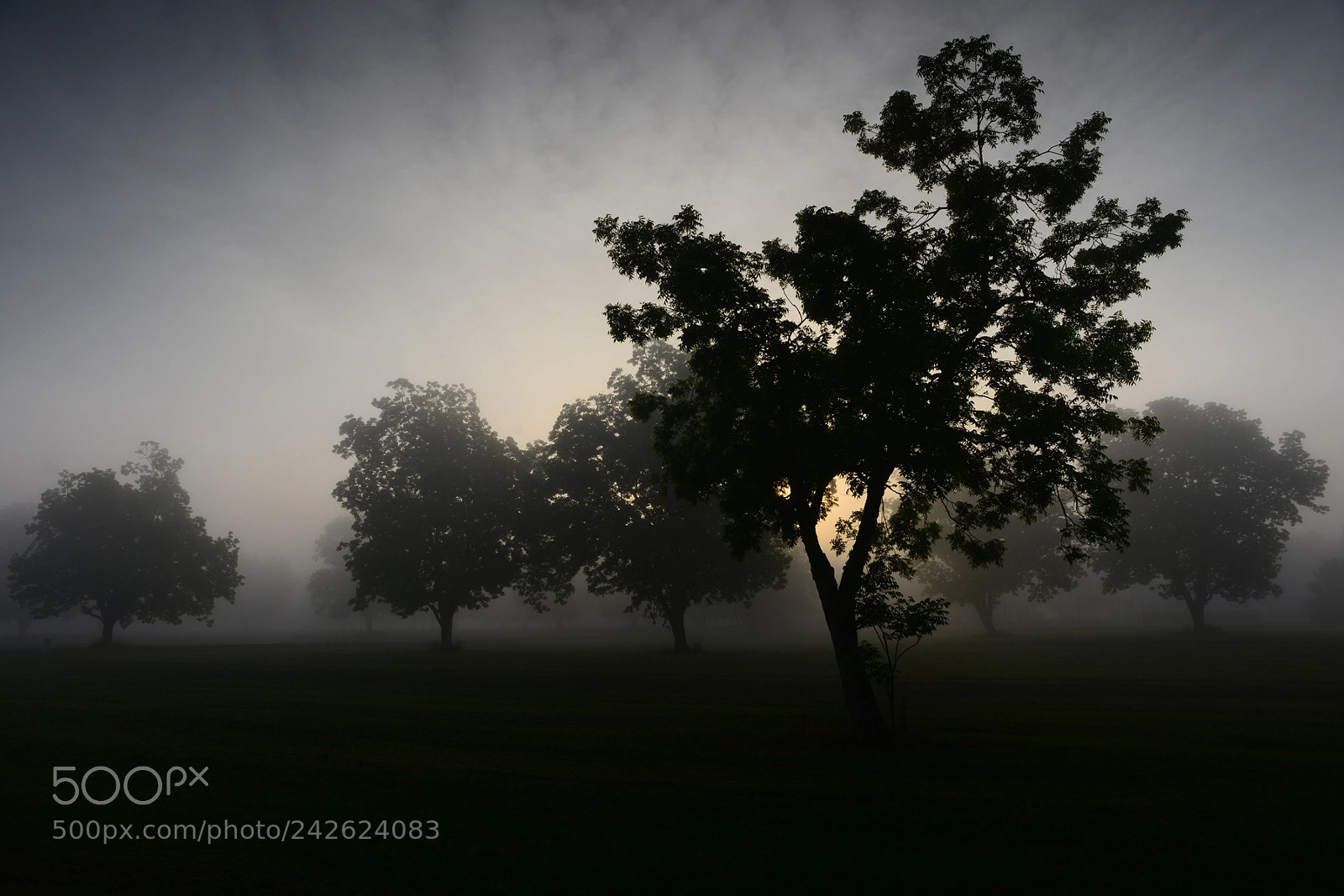 Nikon D800 sample photo. Angel of the morning photography